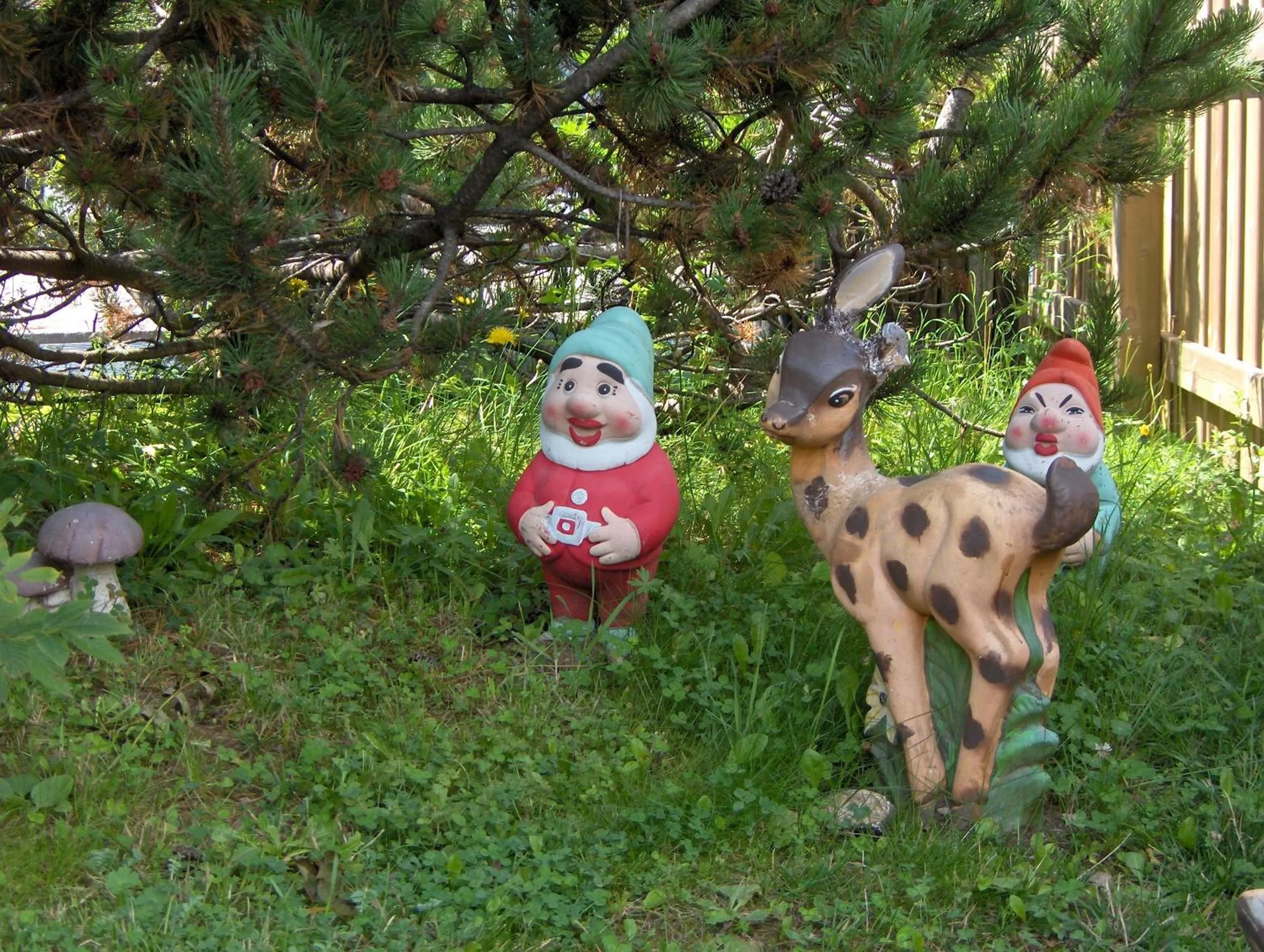 Garden in Hotel Allo Zodiaco