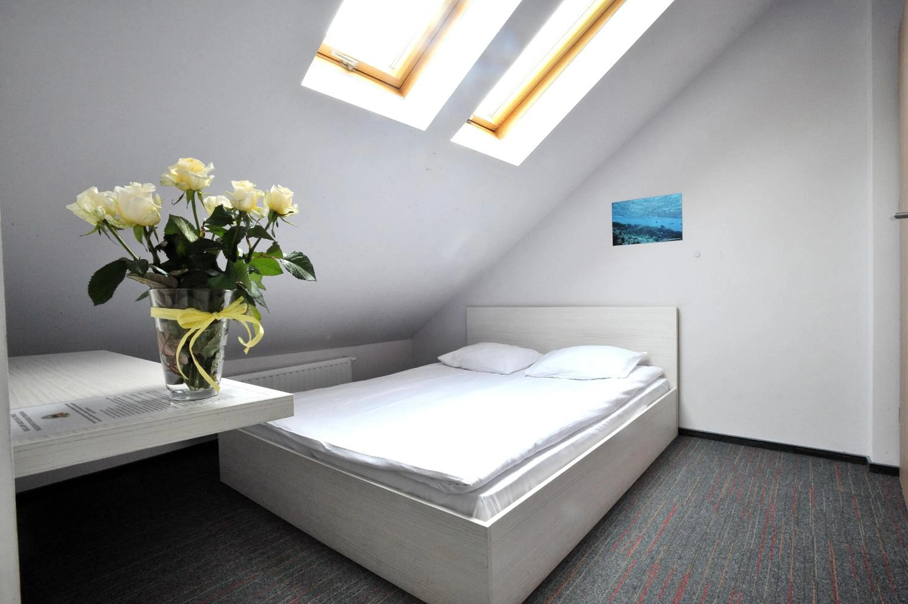 Bed in Hostel Promenada