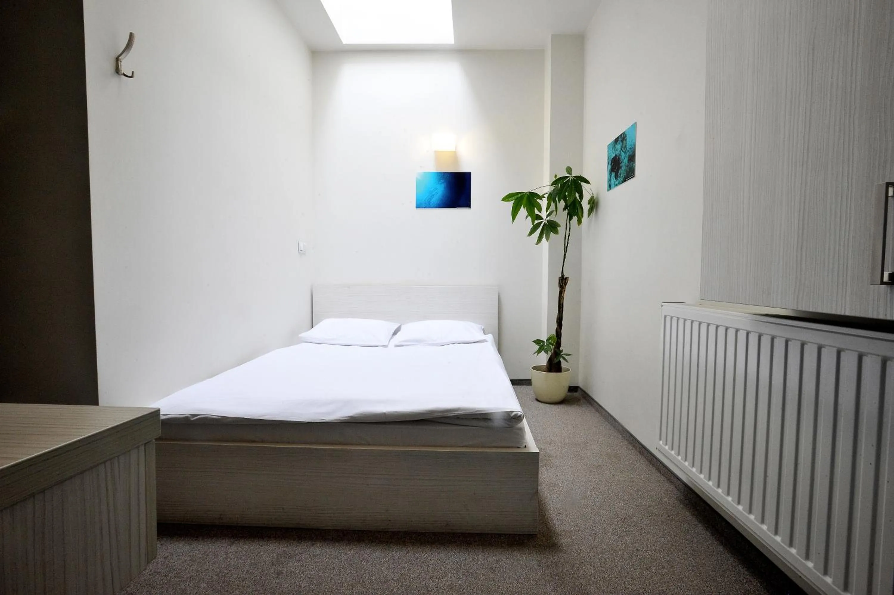 Bed in Hostel Promenada