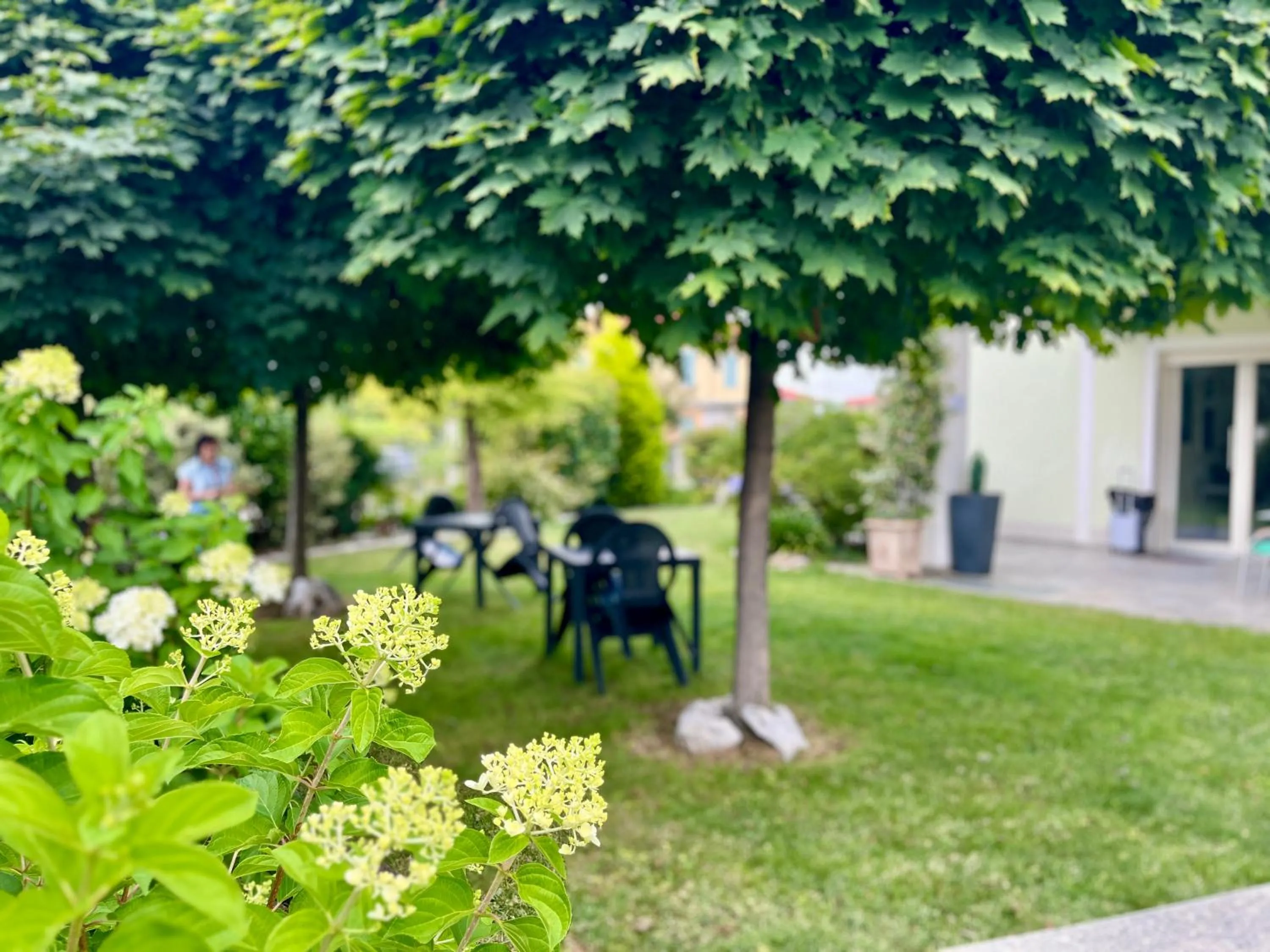 Spring in Eremes Rooms & Apartments