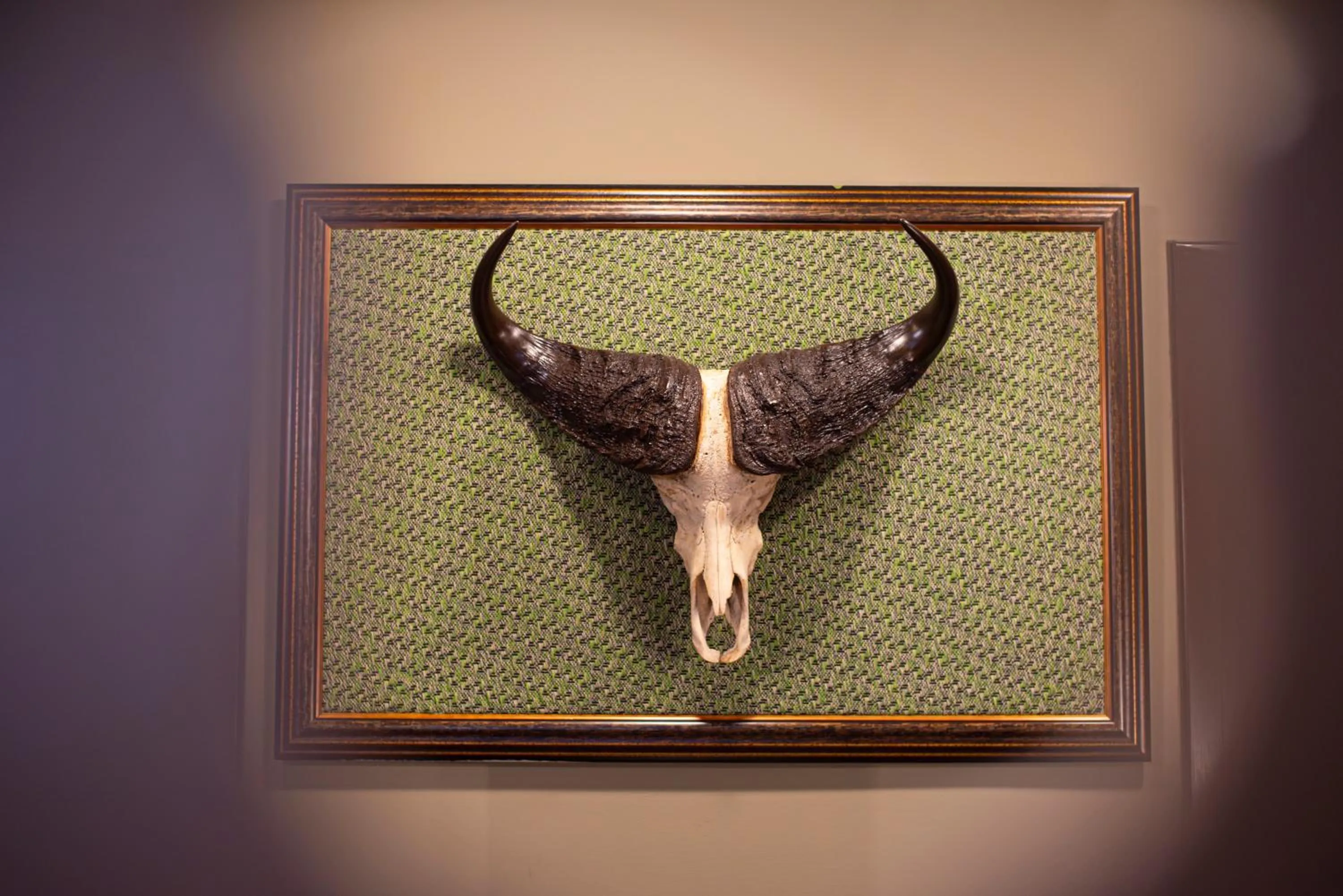 Decorative detail in Vilele Lucia