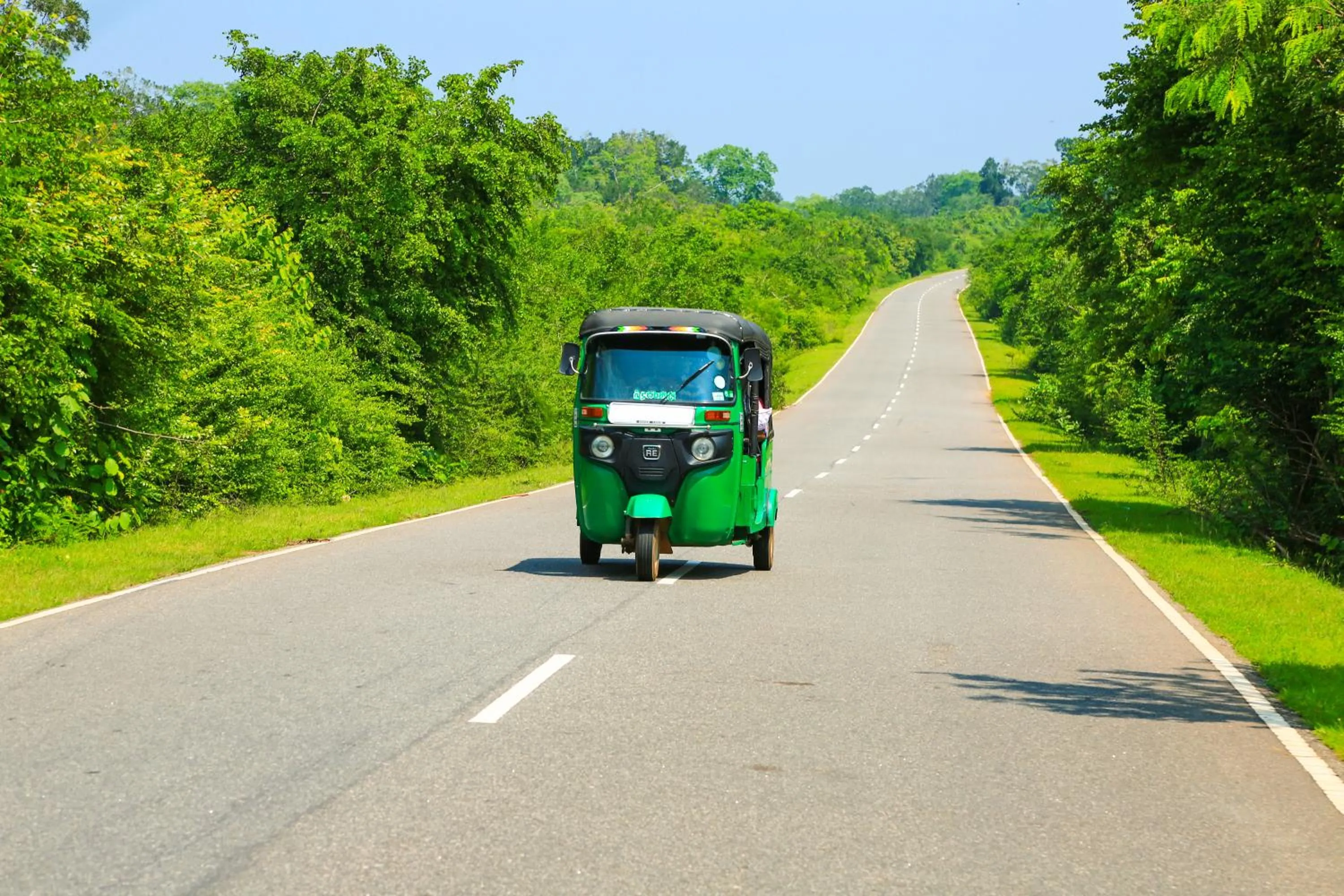 Other in Oak Ray Wild Yala