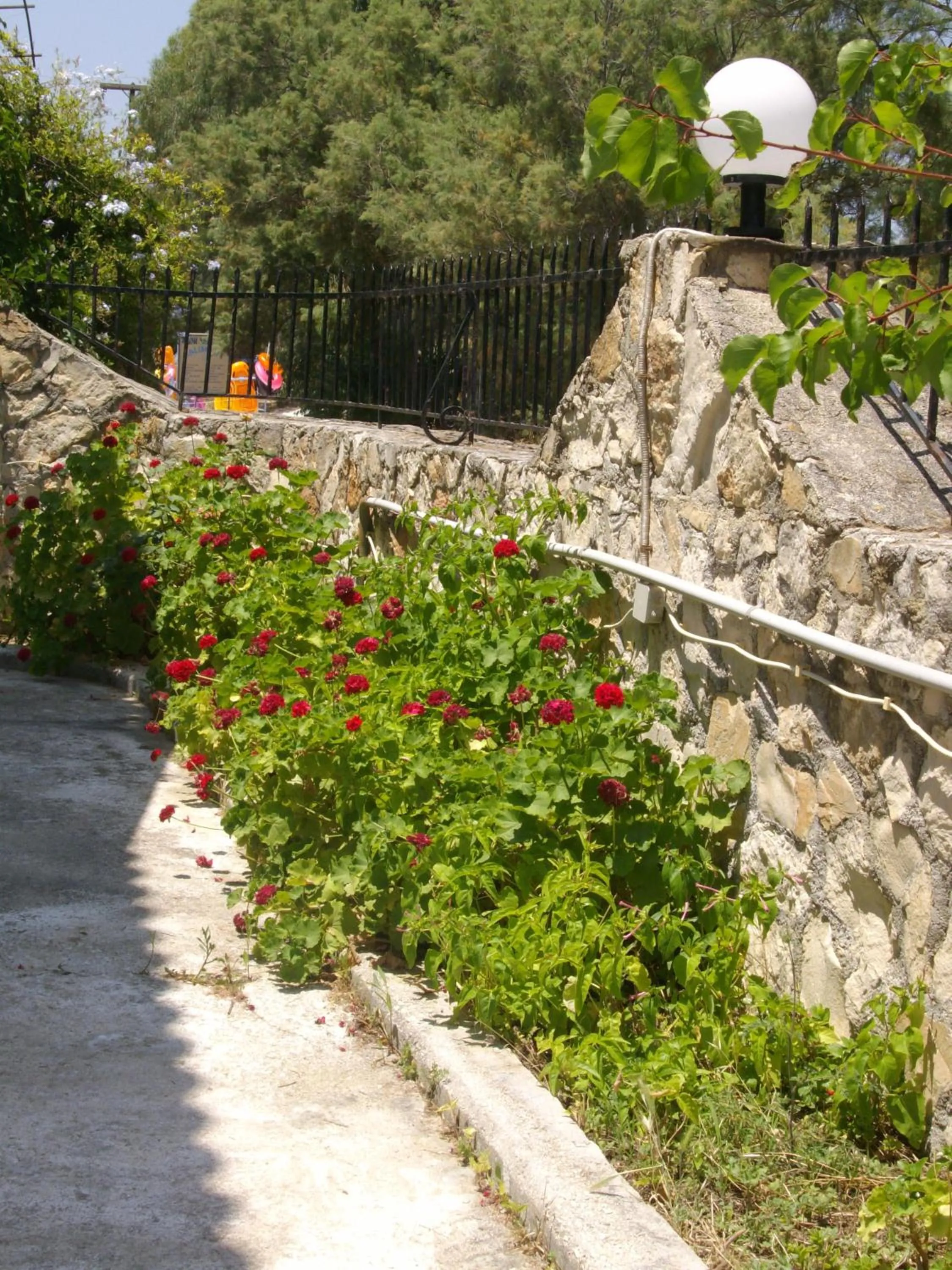 View (from property/room) in Babis Studios