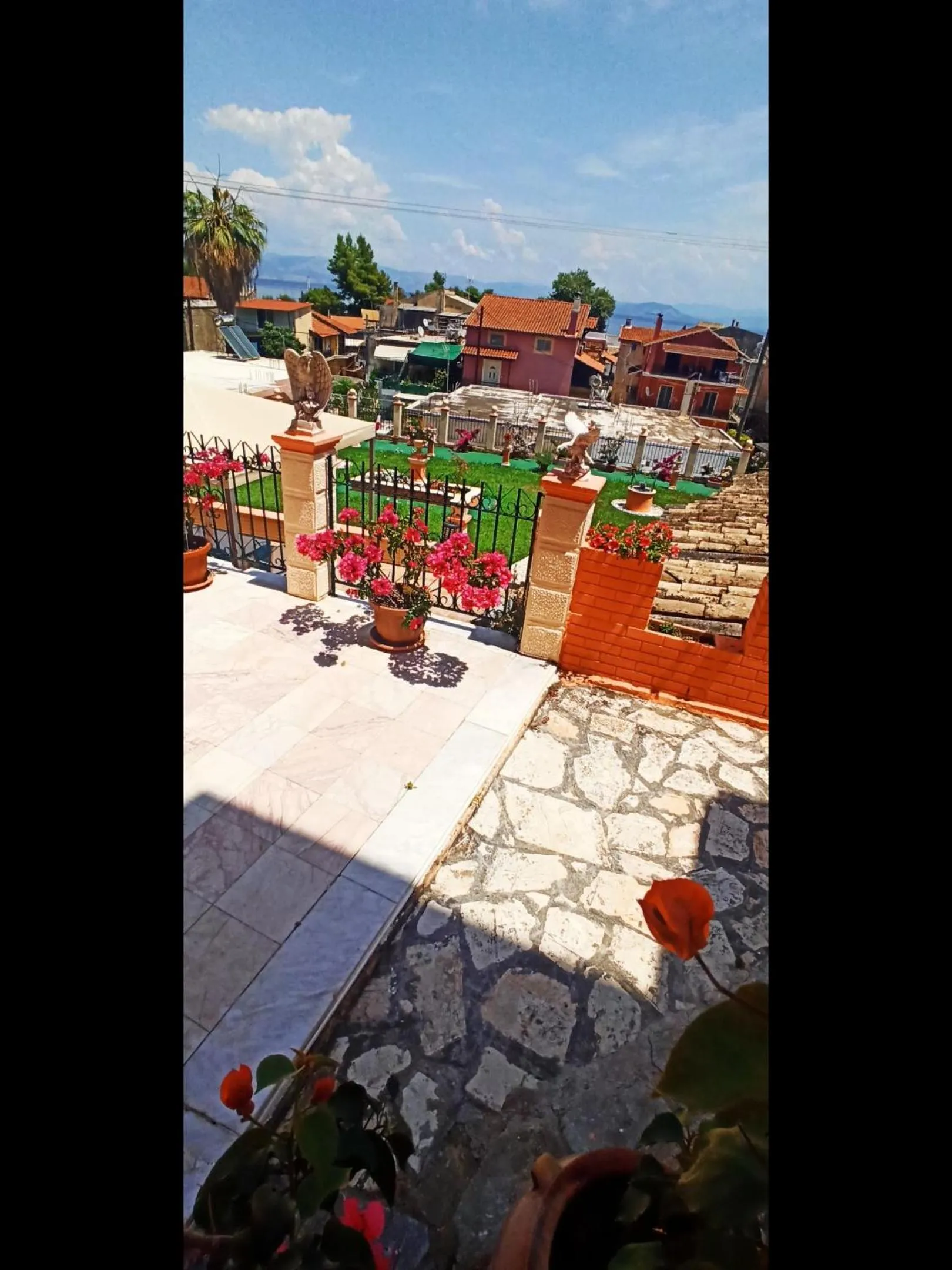 Garden in Corfu Sunflower Apartments