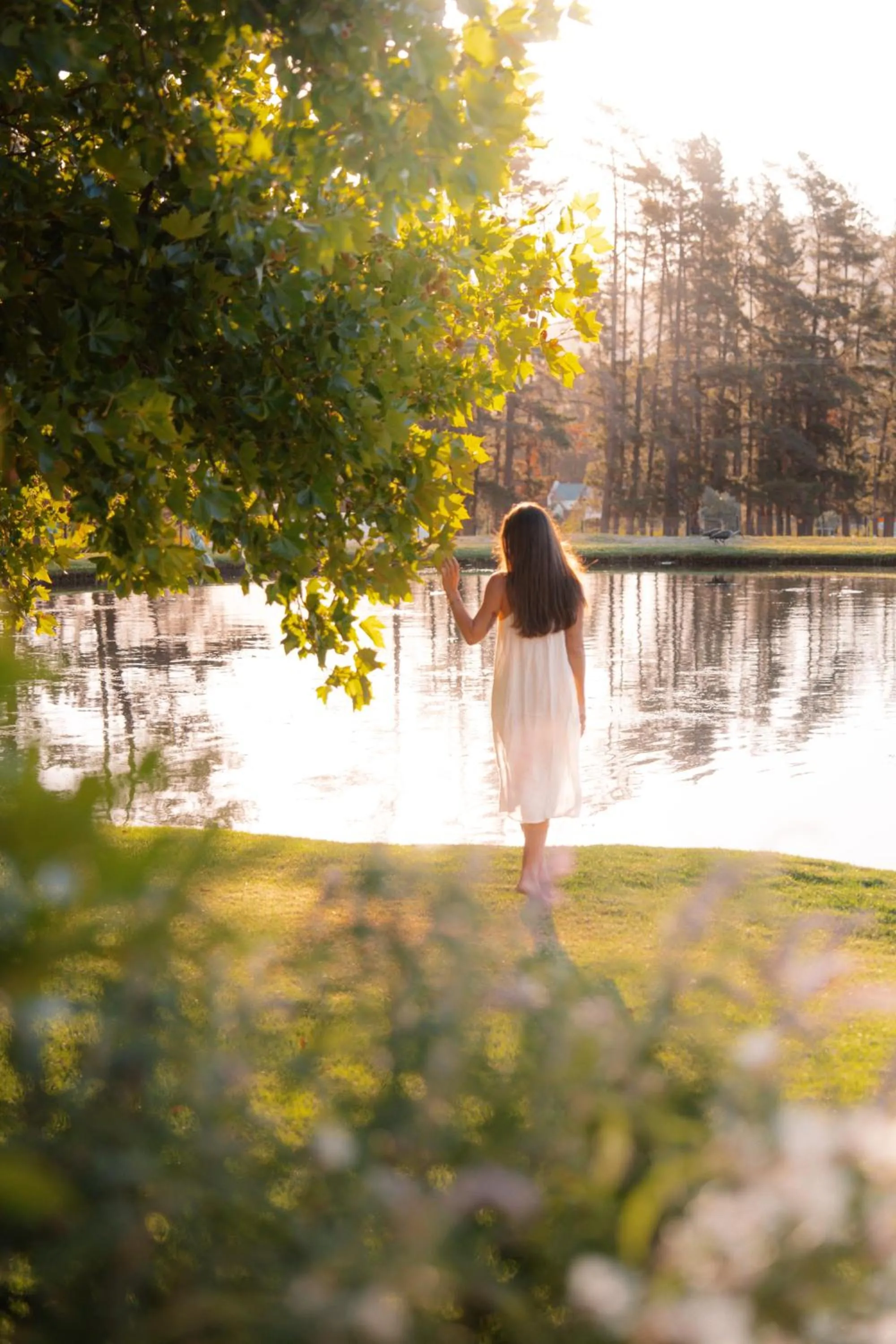 Natural landscape in Lavender Farm Boutique Guest House