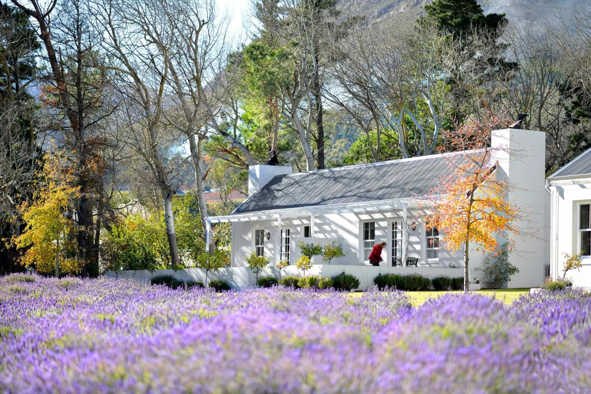 Property building in Lavender Farm Boutique Guest House