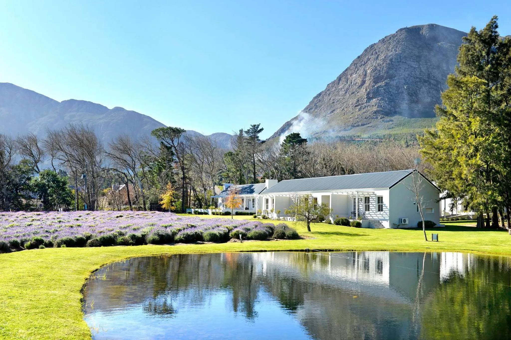 Garden in Lavender Farm Boutique Guest House