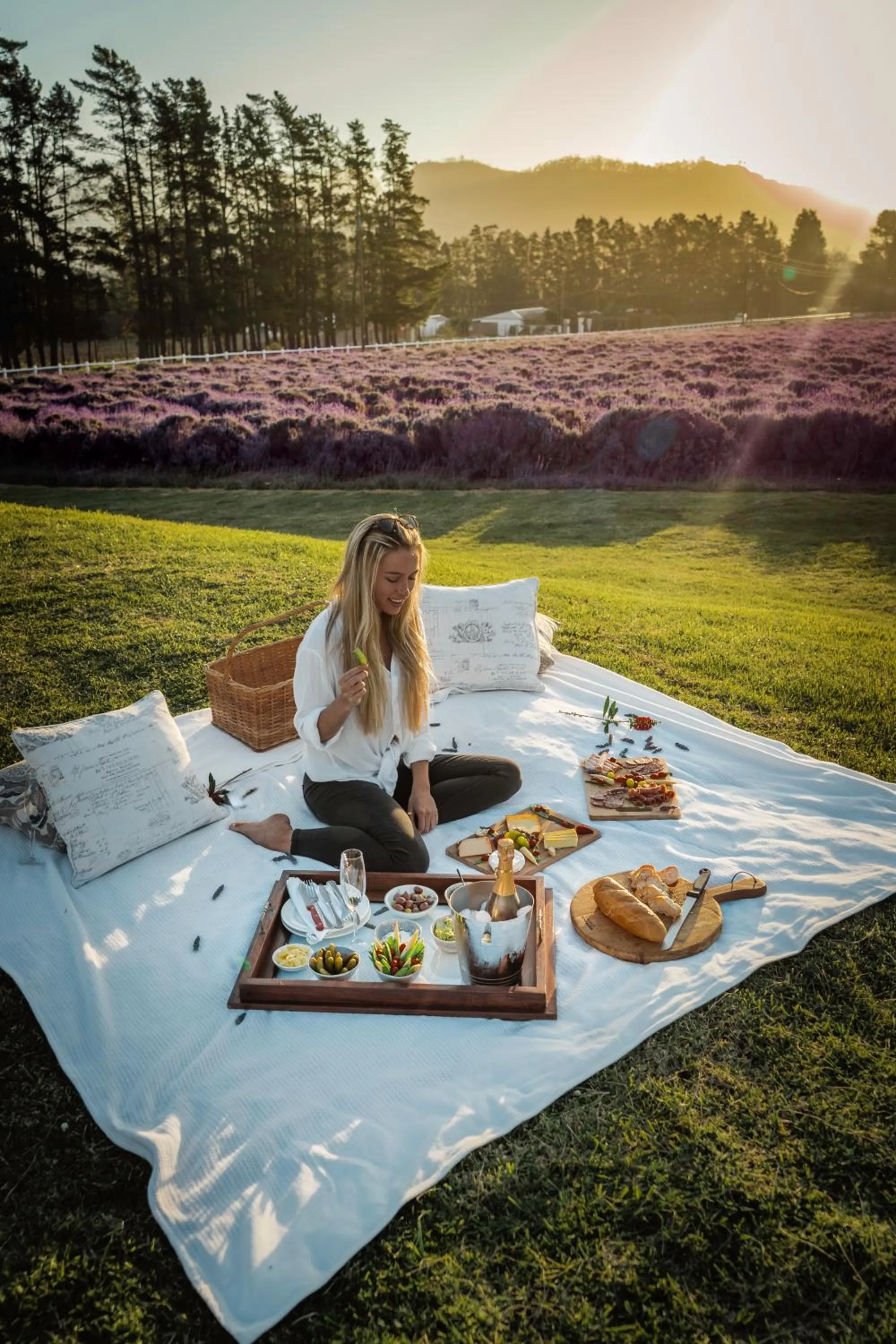 Natural landscape in Lavender Farm Boutique Guest House