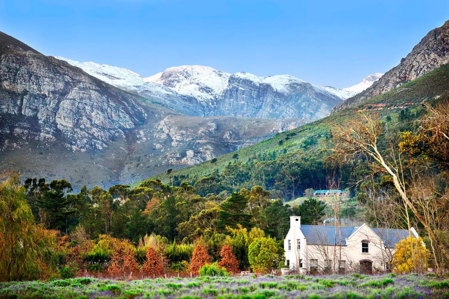 Winter in Lavender Farm Boutique Guest House