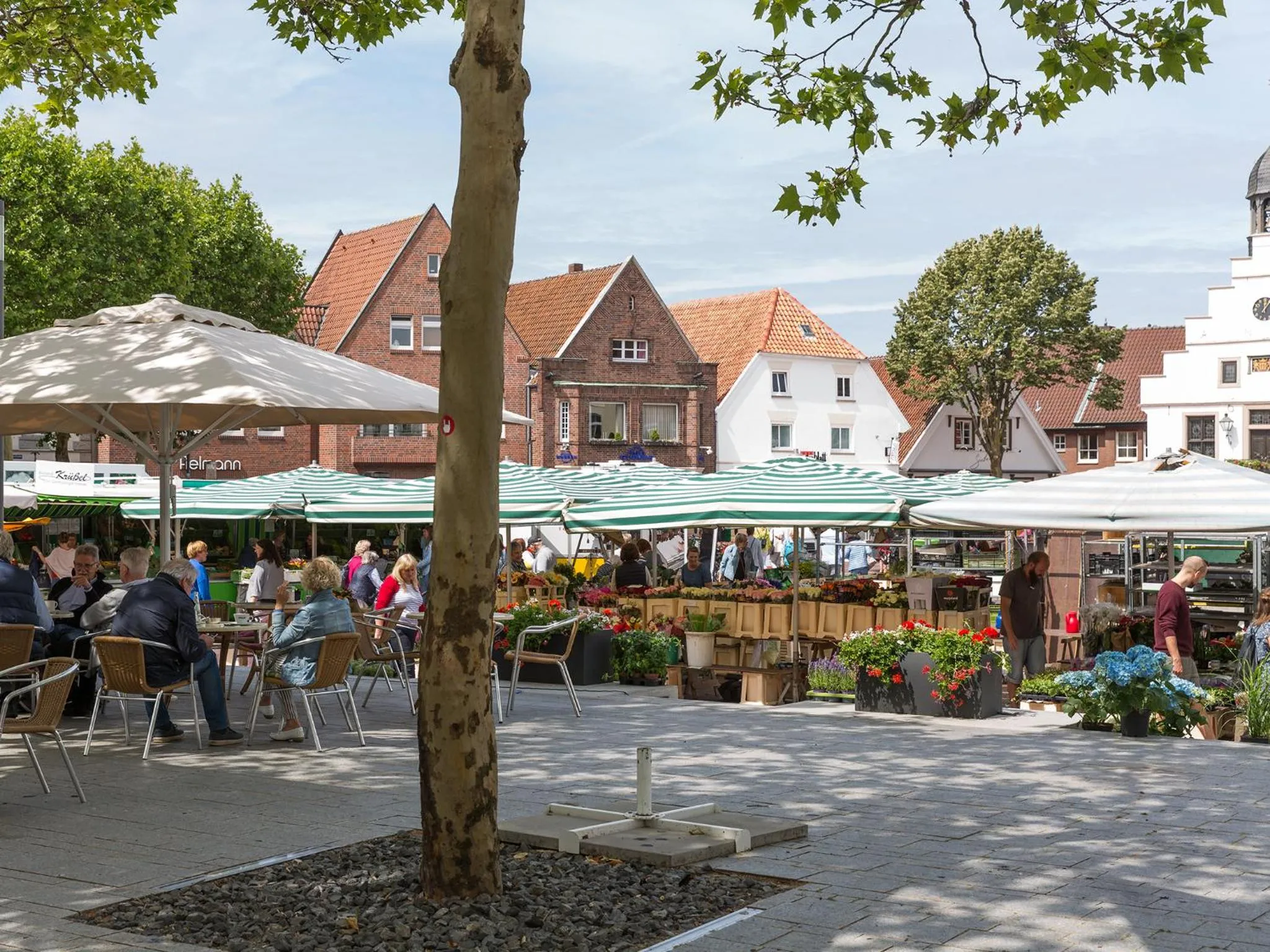 Nearby landmark in Hotel-Restaurant Kolpinghaus