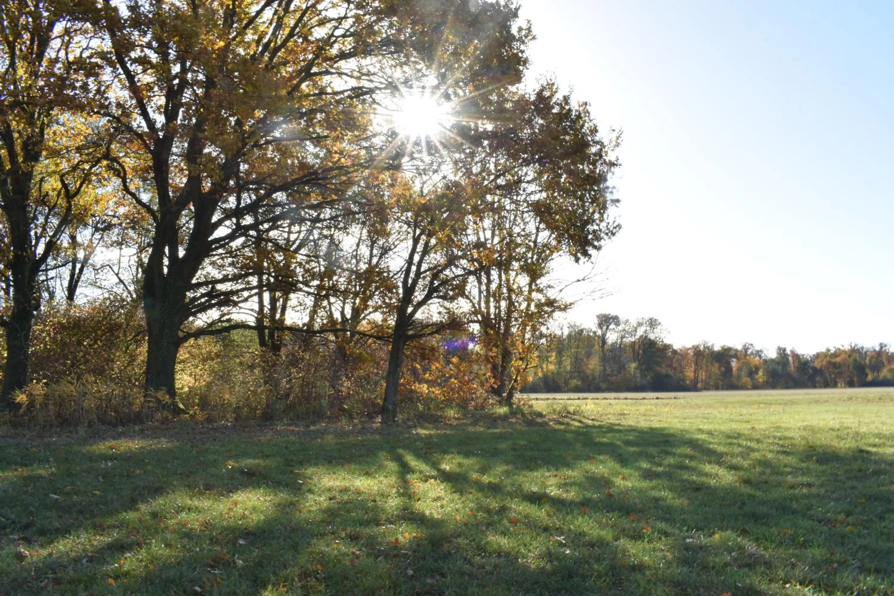 Off site in Maison d hotes Coeur de Village Alsace & spa