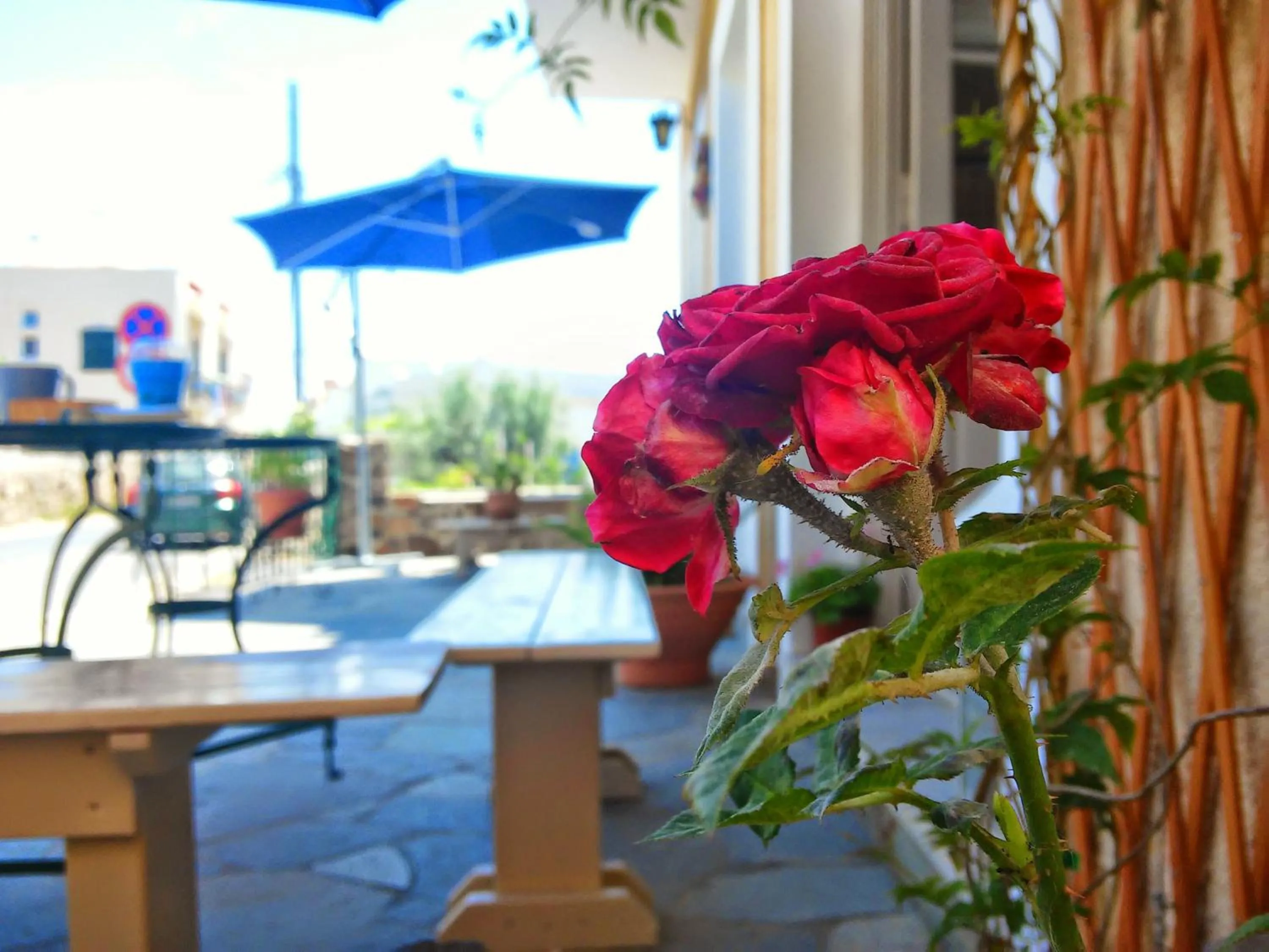 Facade/entrance in Hotel Aegina