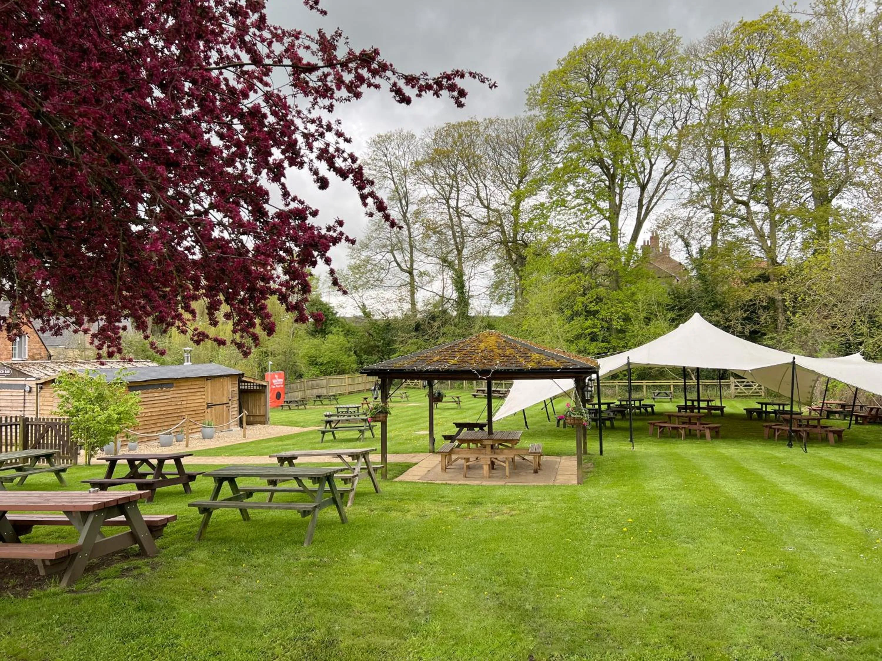 Garden in The Pear Tree