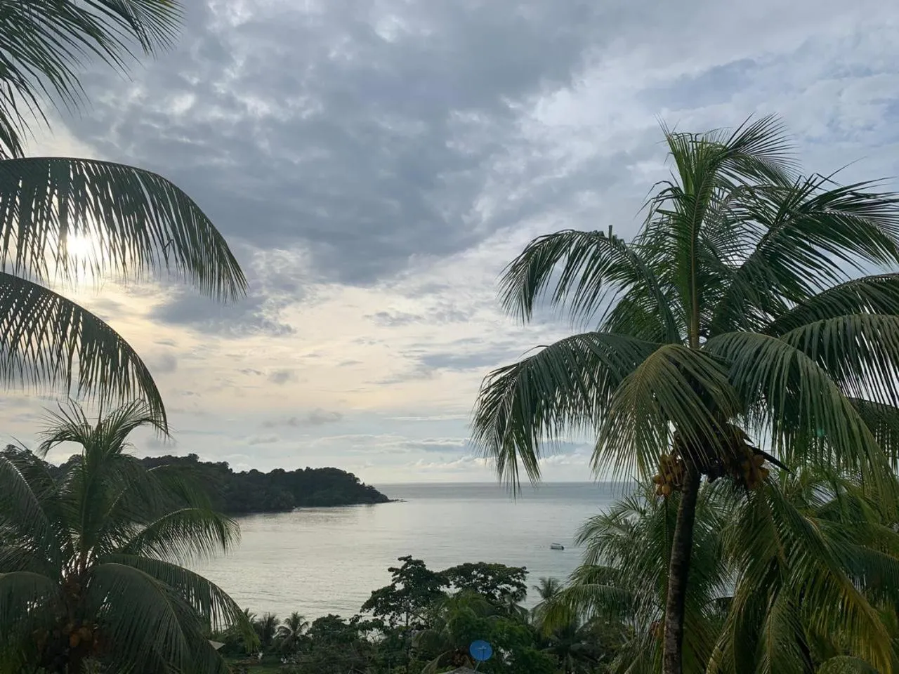 Natural landscape in Hotel Rancho Corcovado