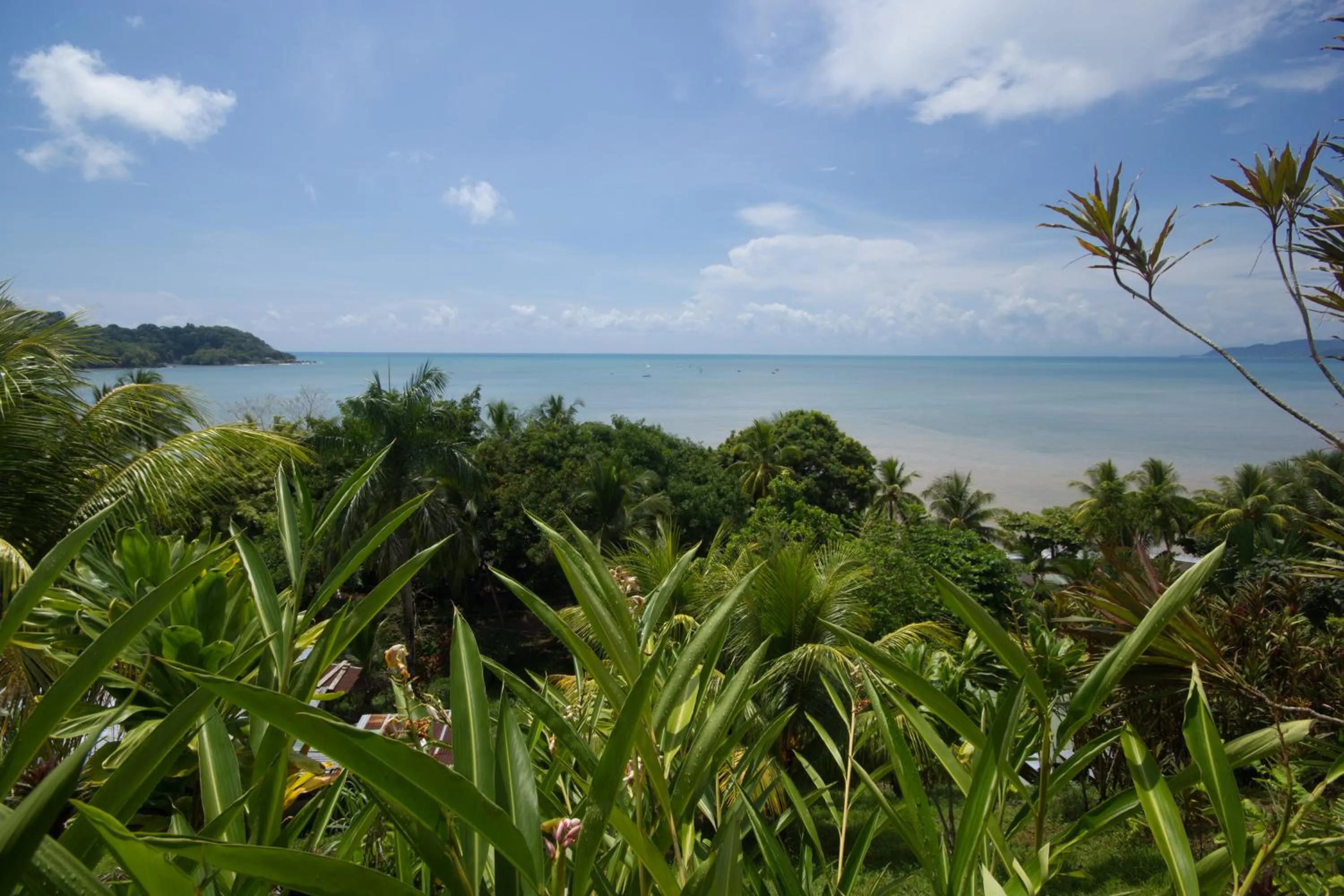 Sea view in Hotel Rancho Corcovado