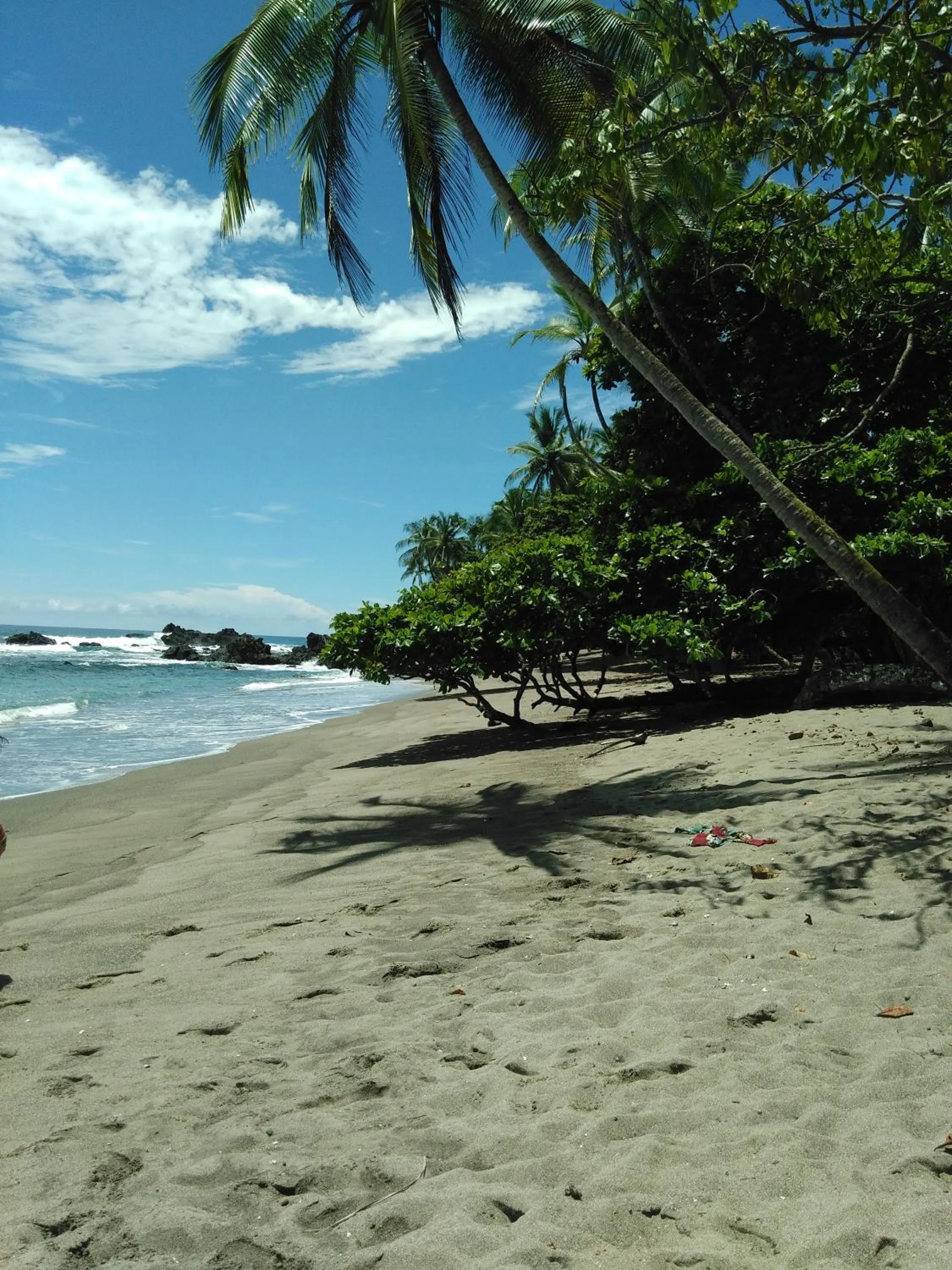 Beach in Hotel Rancho Corcovado