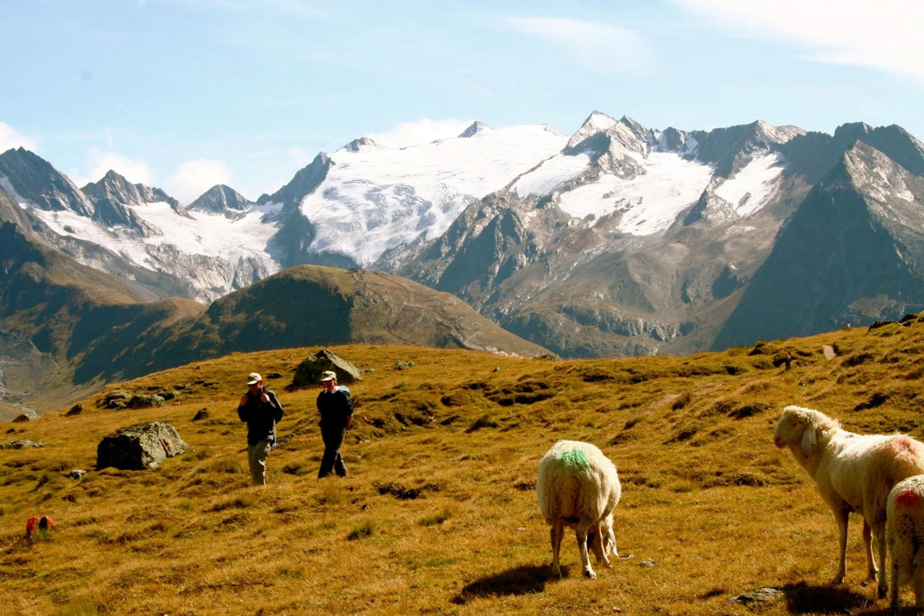 Off site in Hotel Lärchenhof Natur