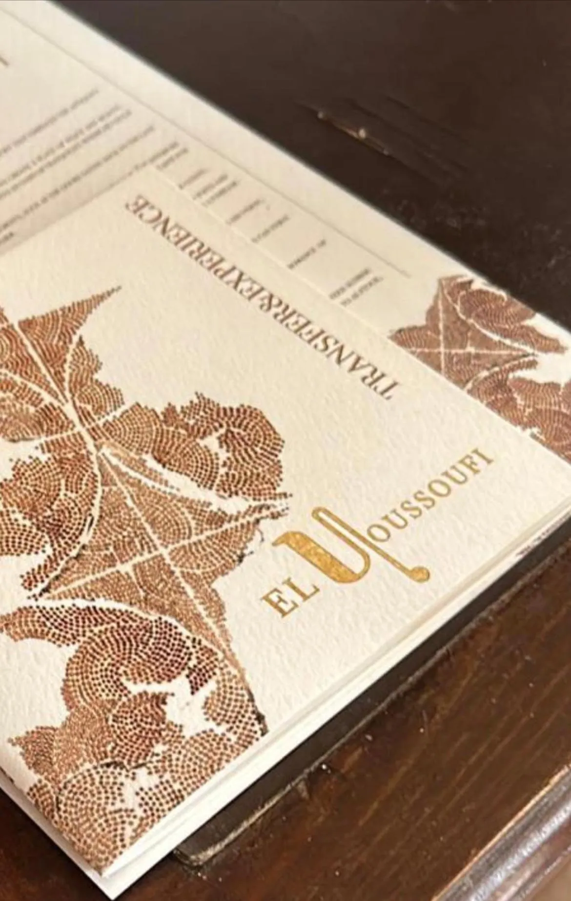 Logo/Certificate/Sign in Riad El Youssoufi