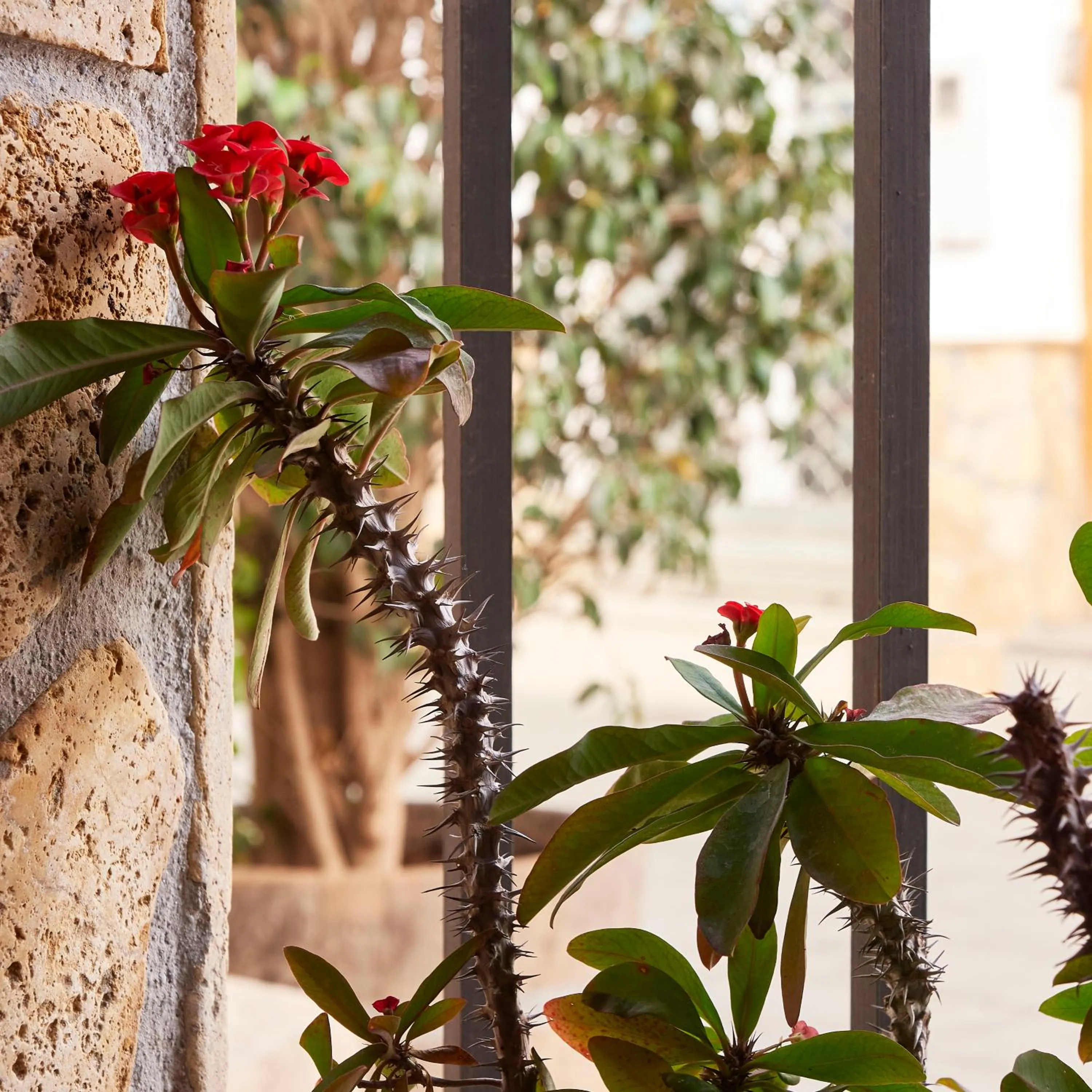 Decorative detail in Mesón La Hospedería