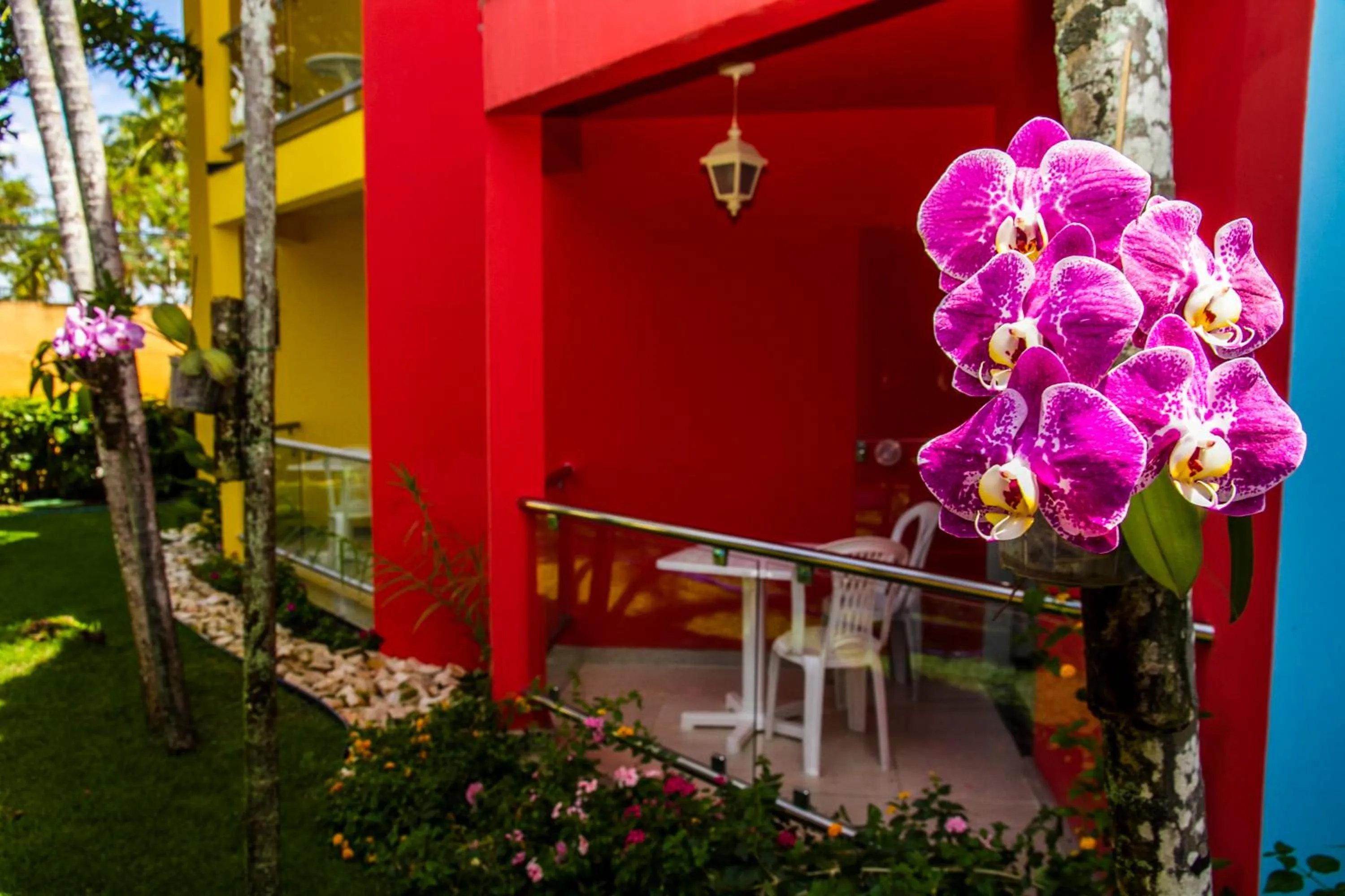 Garden in Happy Hotel Girassol