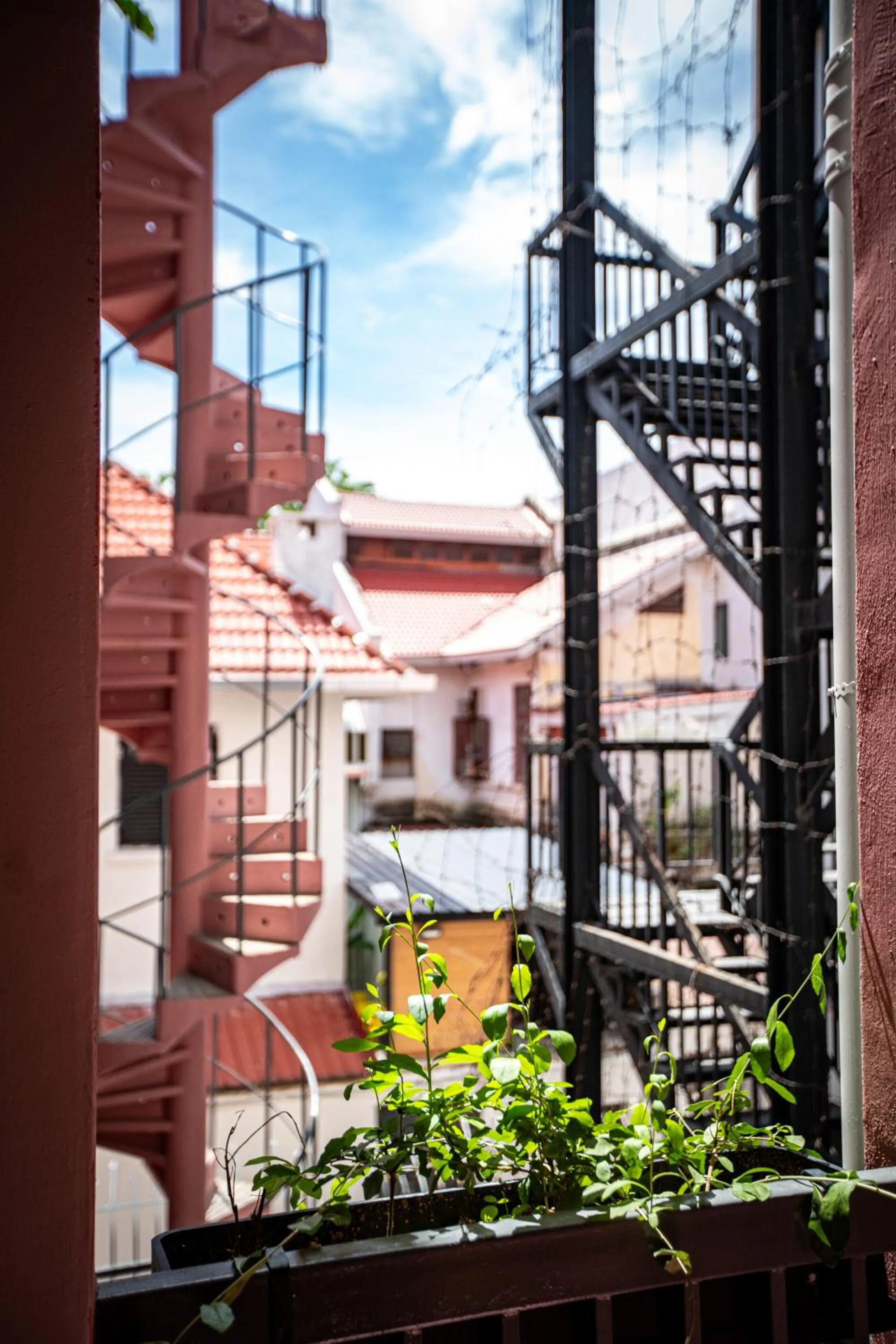 Day in The Brownstone Hostel & Space