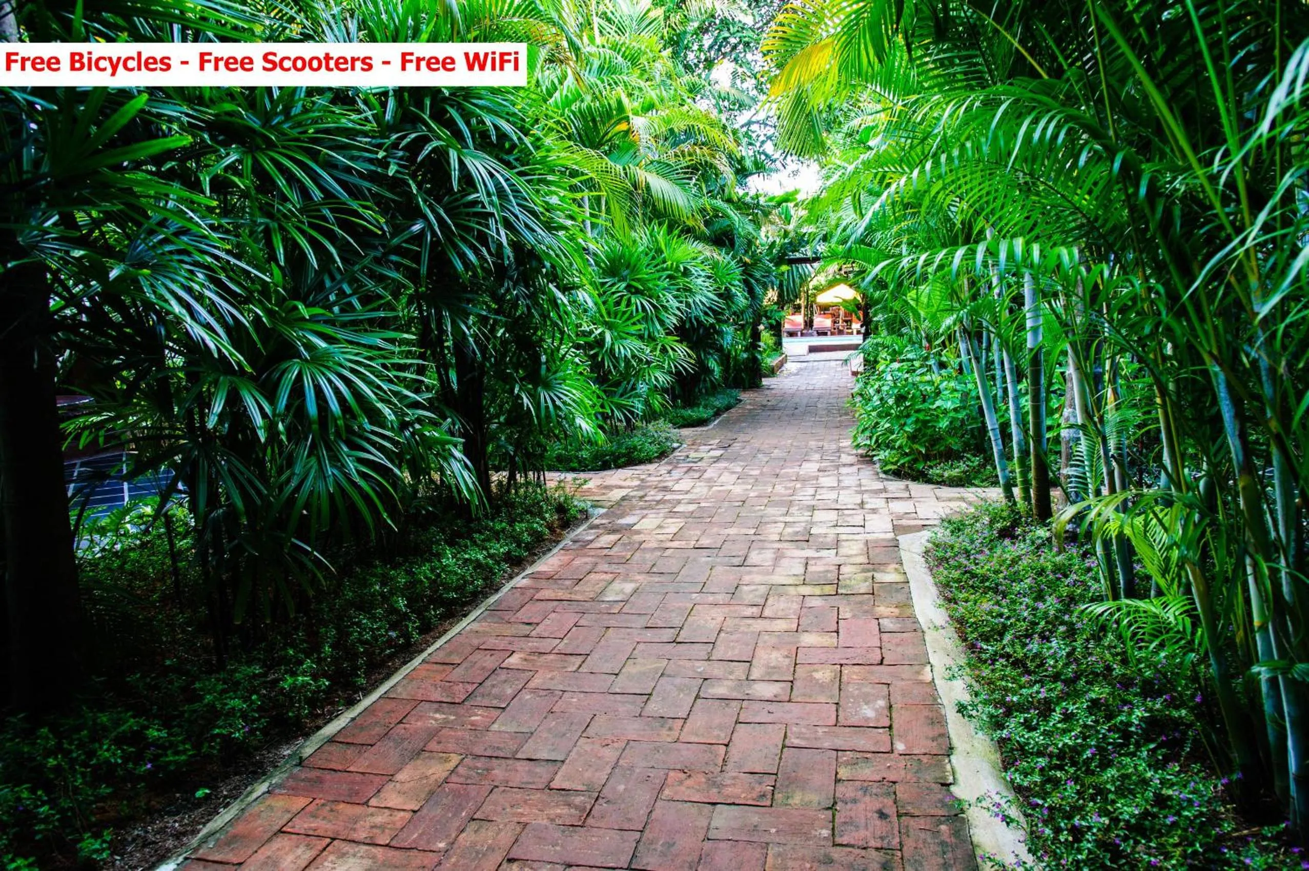 Garden in Baanpong Lodge