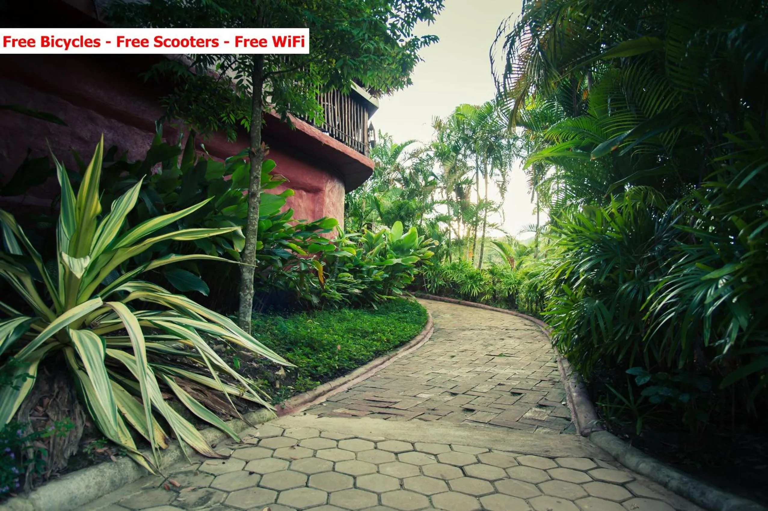 Garden in Baanpong Lodge