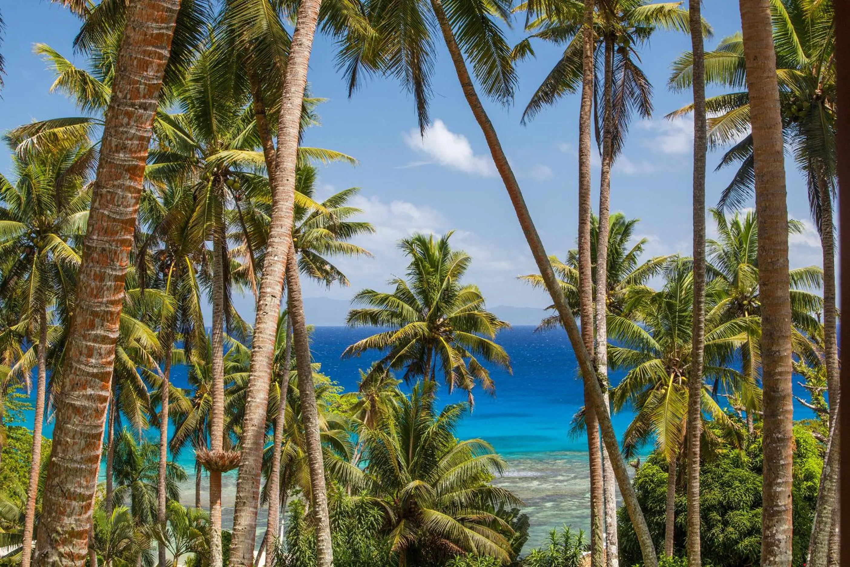 Garden in Maravu Taveuni Lodge