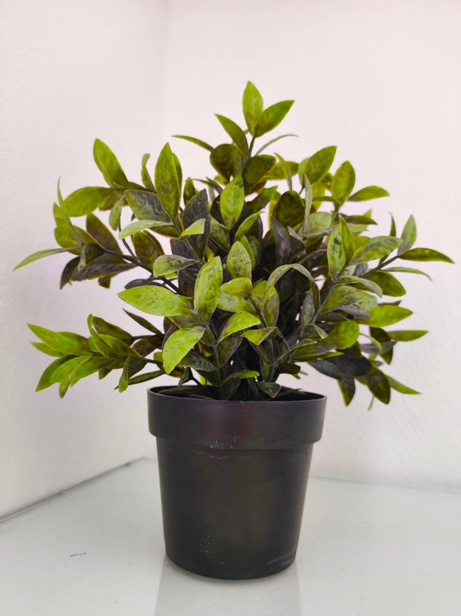 Decorative detail in Sea Harmony