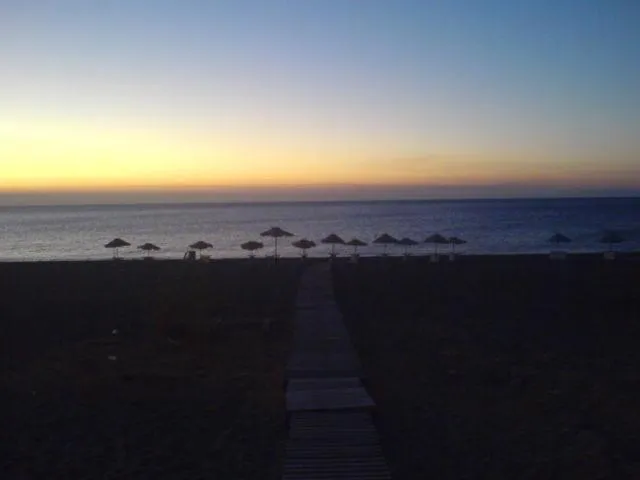 Summer in Sea Harmony