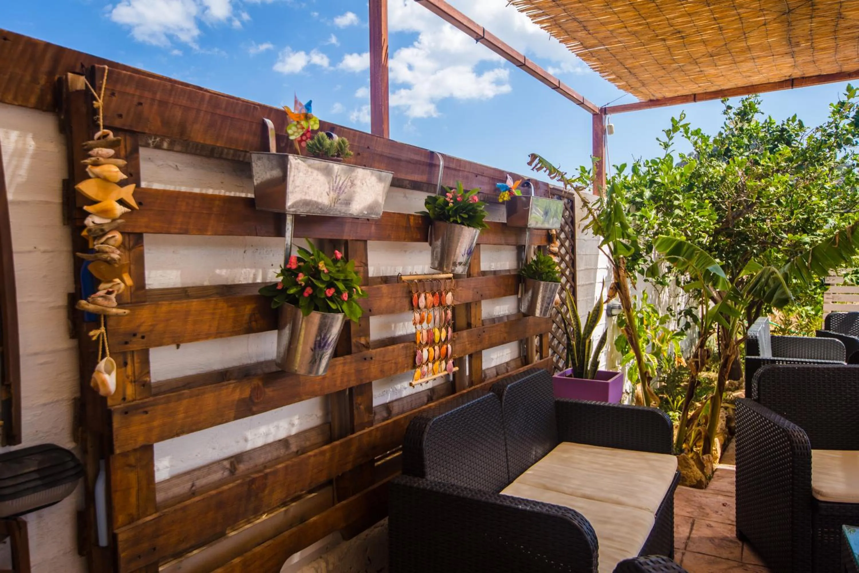 Entertainment in Sea Harmony