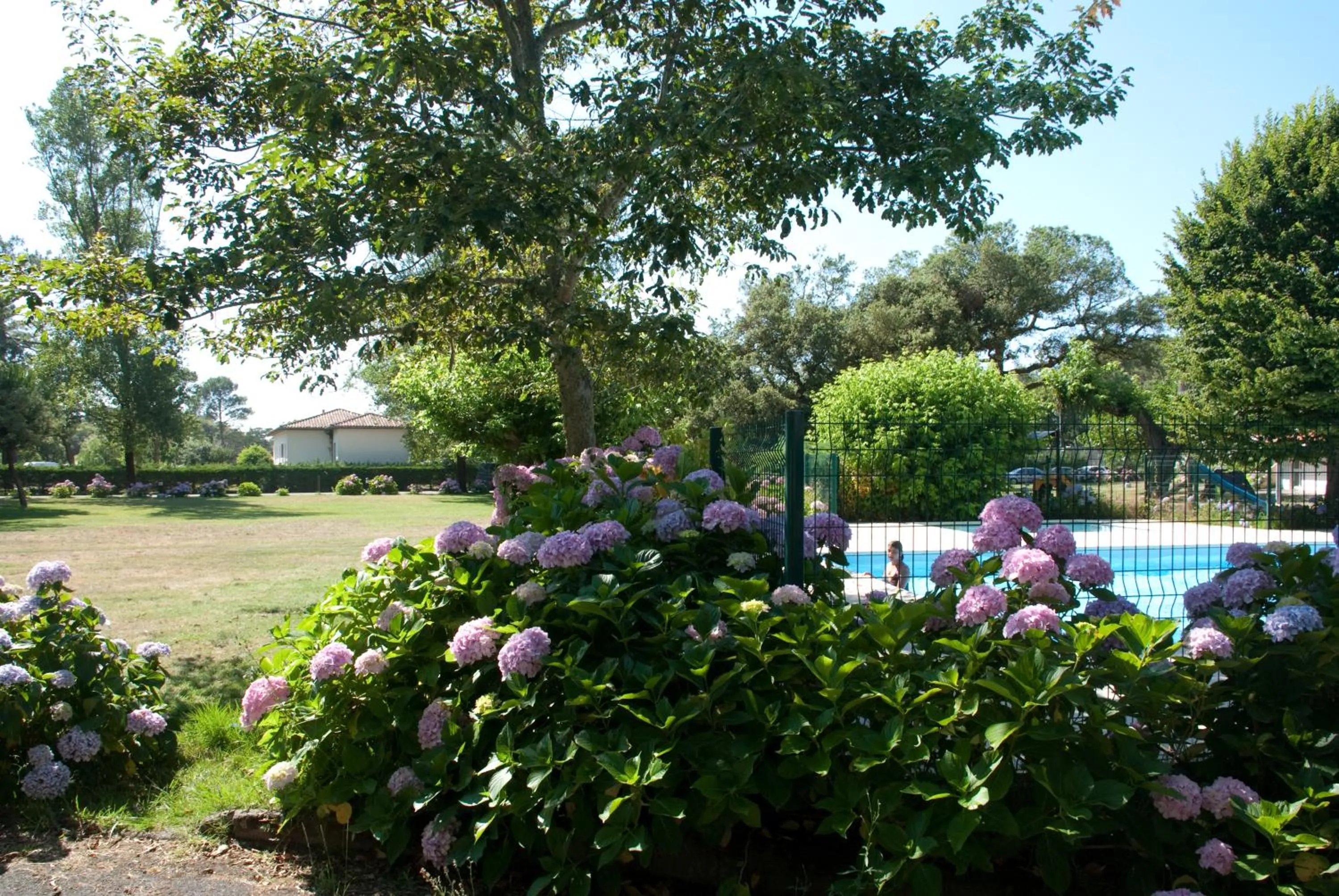 Garden in Cap Océan