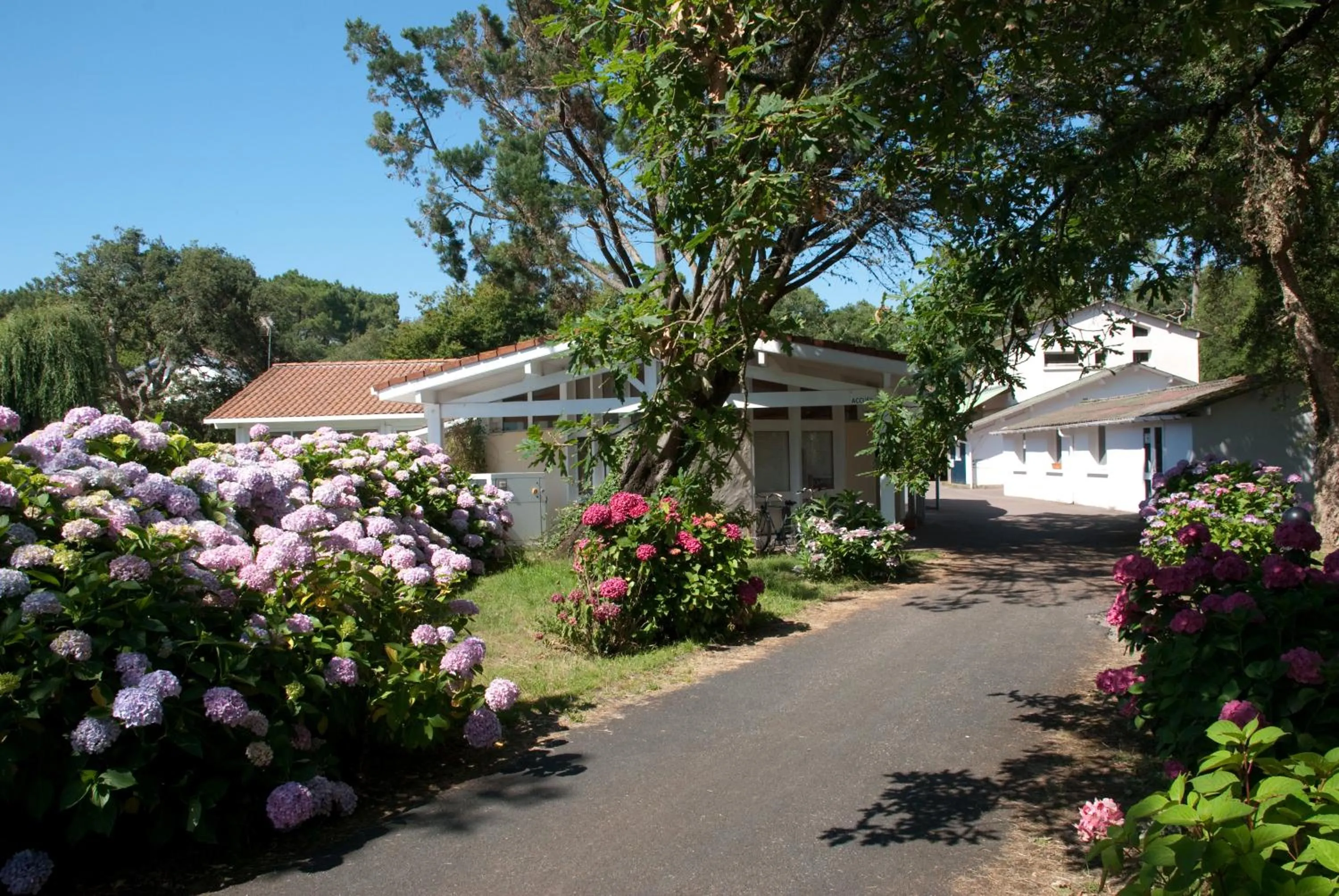 Spring in Cap Océan