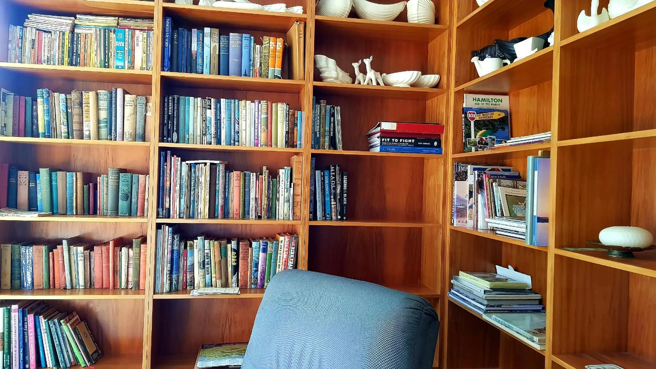 Library in 113 On Park