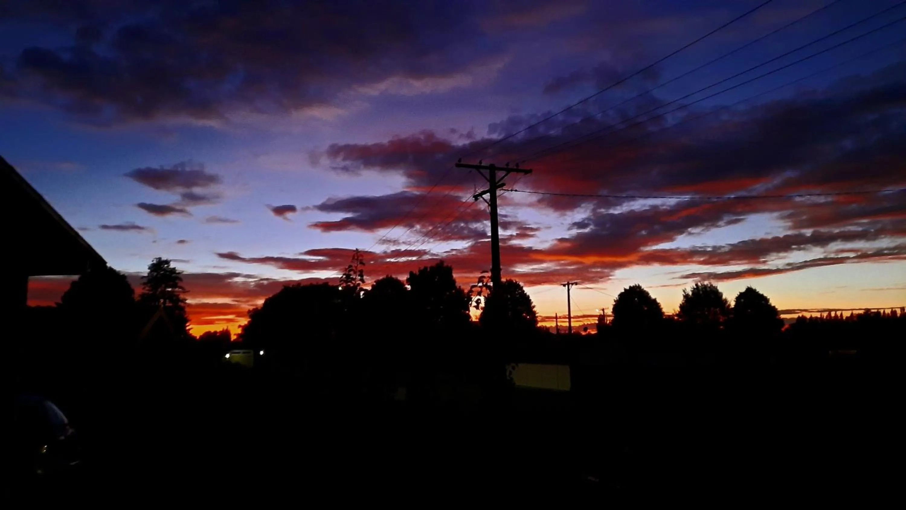 Sunset in 113 On Park