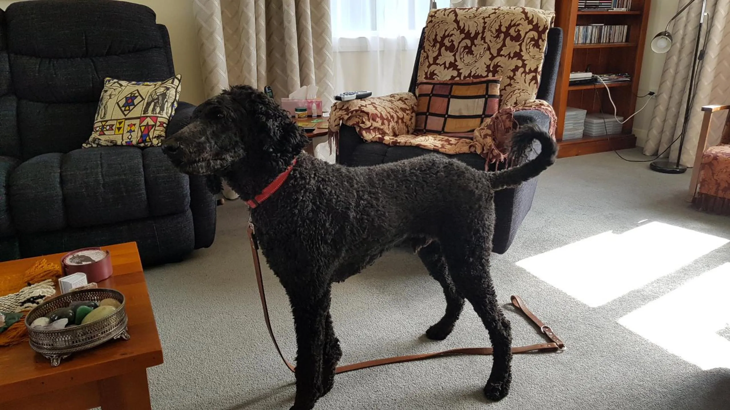 Living room in 113 On Park