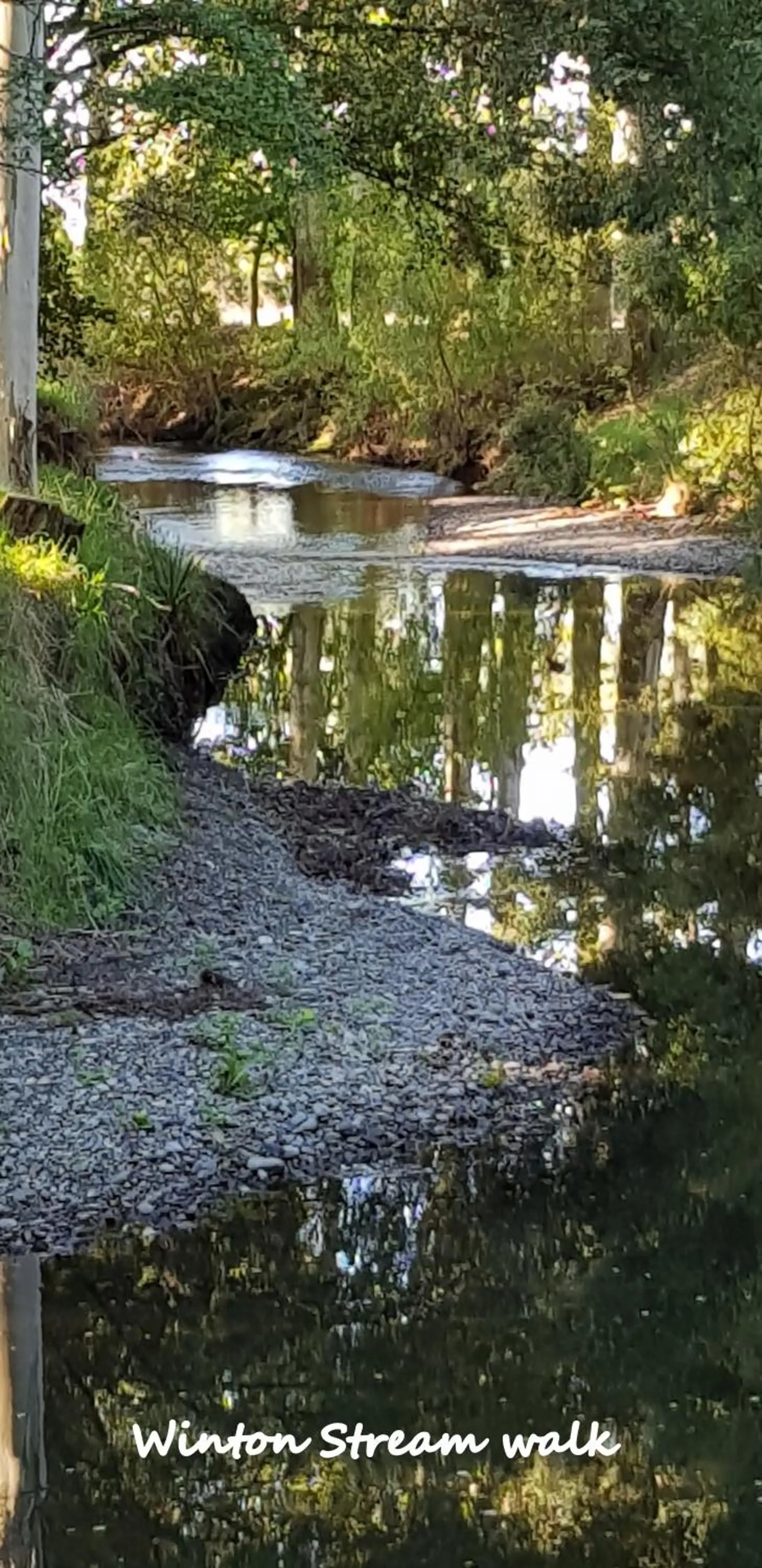 Nearby landmark in 113 On Park