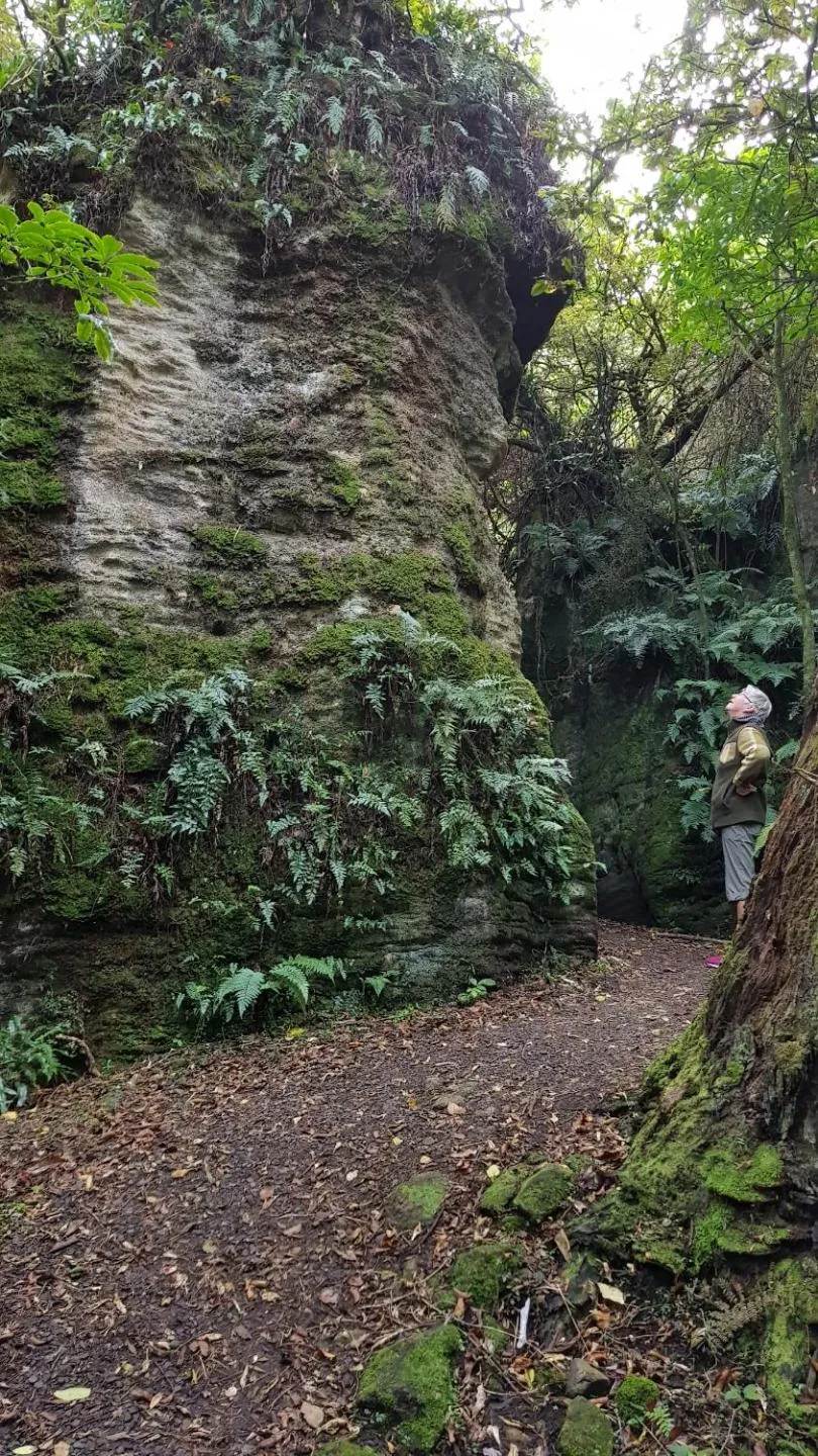 Hiking in 113 On Park