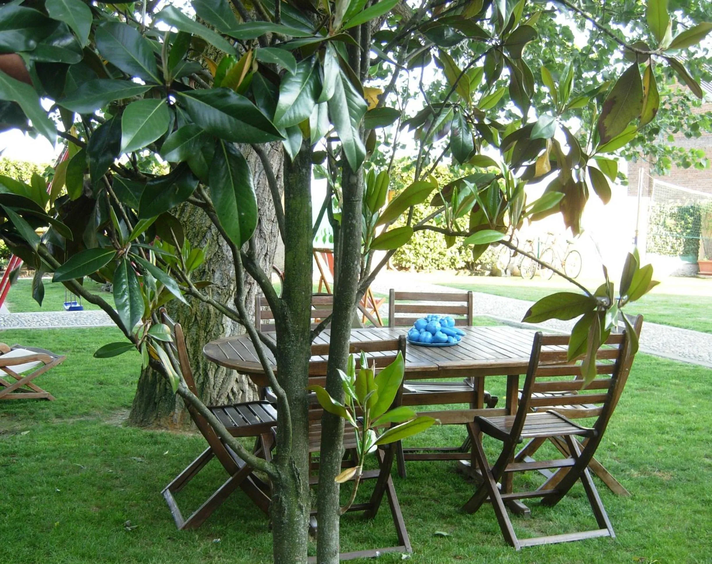 Garden view in B&B Il Pioppo E La Fonte