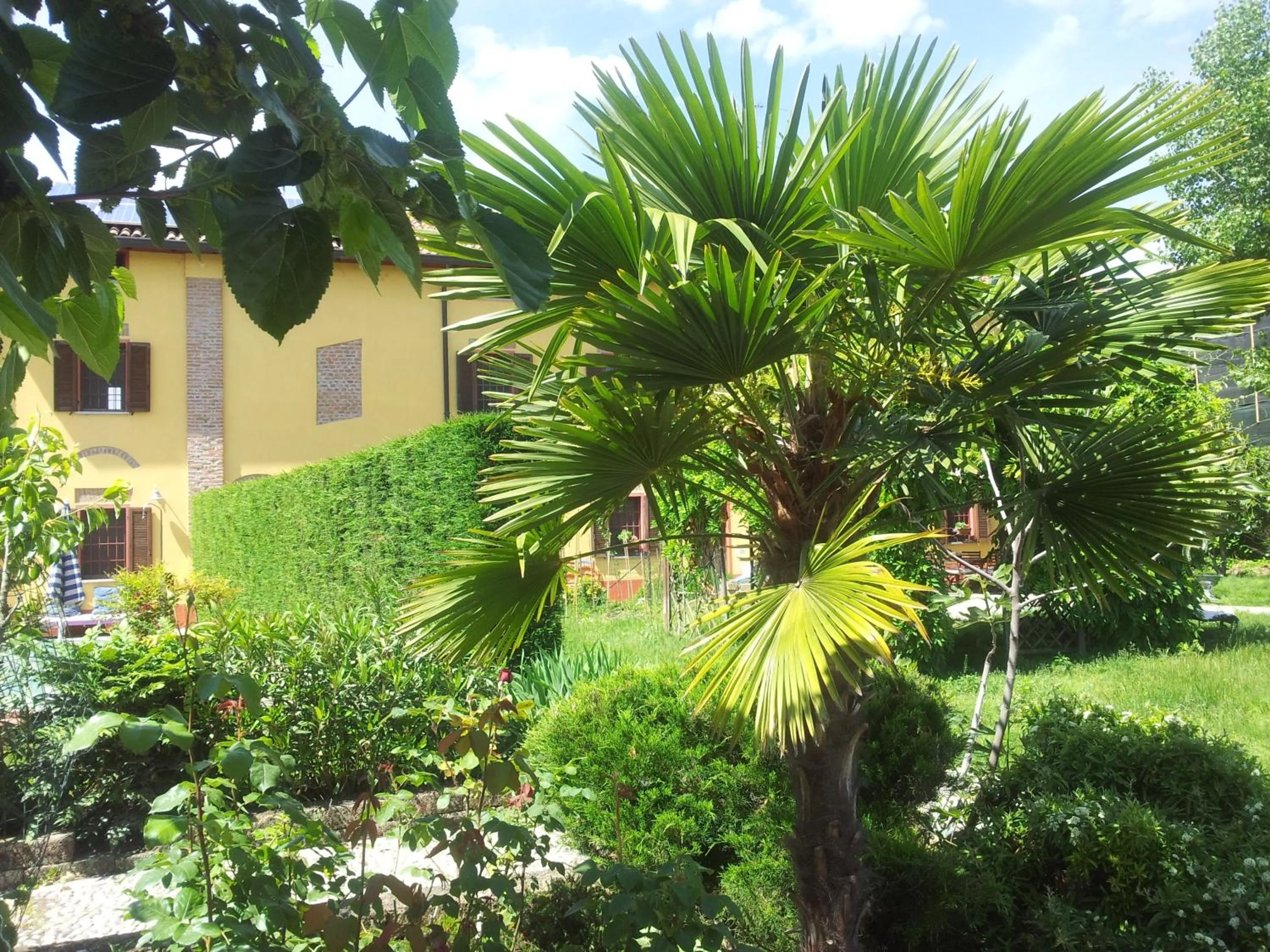 Garden in B&B Il Pioppo E La Fonte