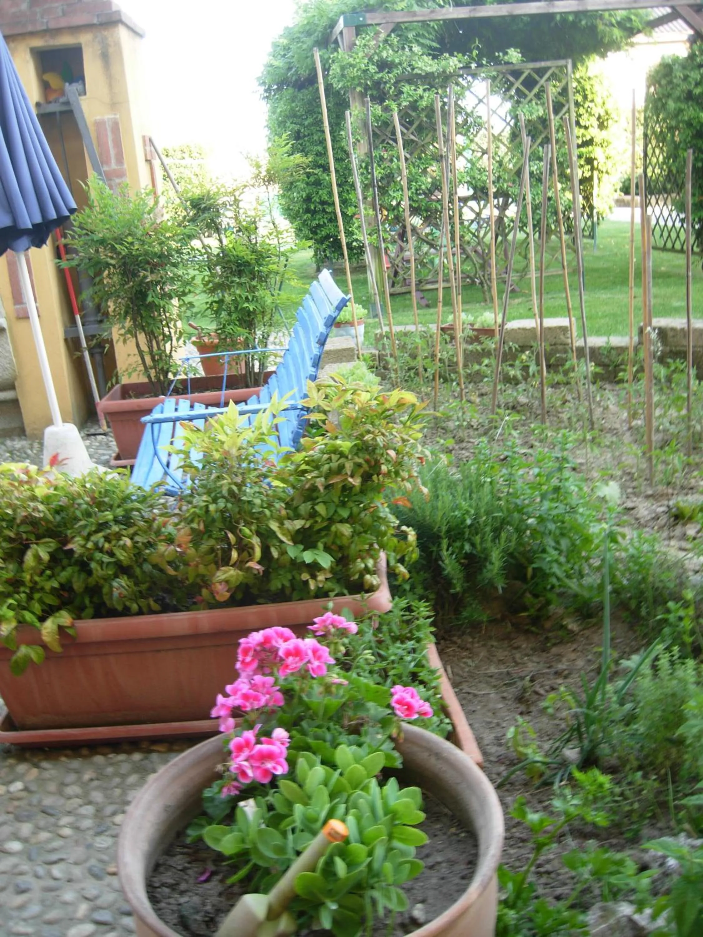 Garden in B&B Il Pioppo E La Fonte