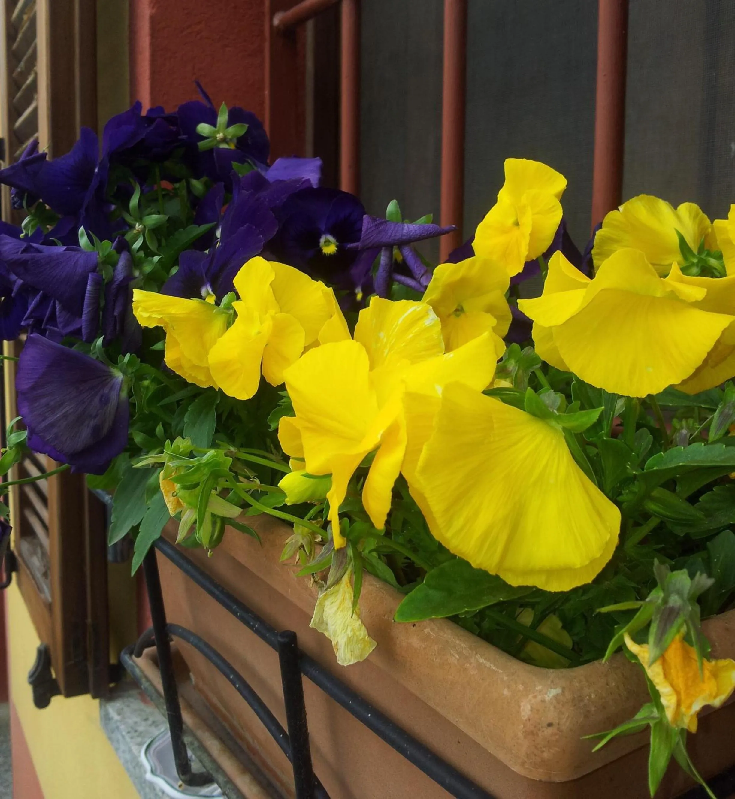 Facade/entrance in B&B Il Pioppo E La Fonte