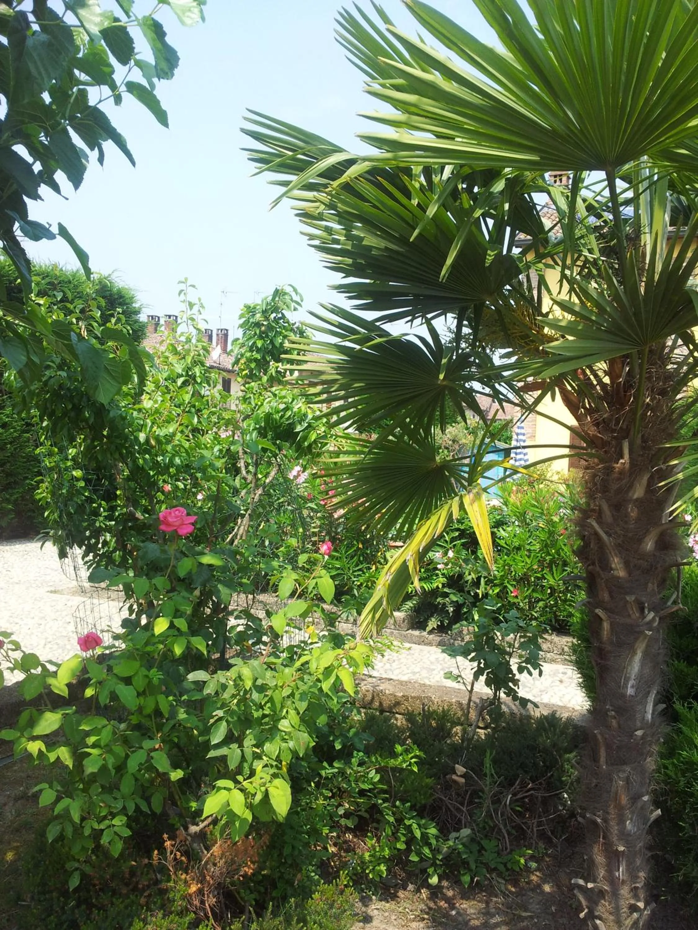 Garden in B&B Il Pioppo E La Fonte