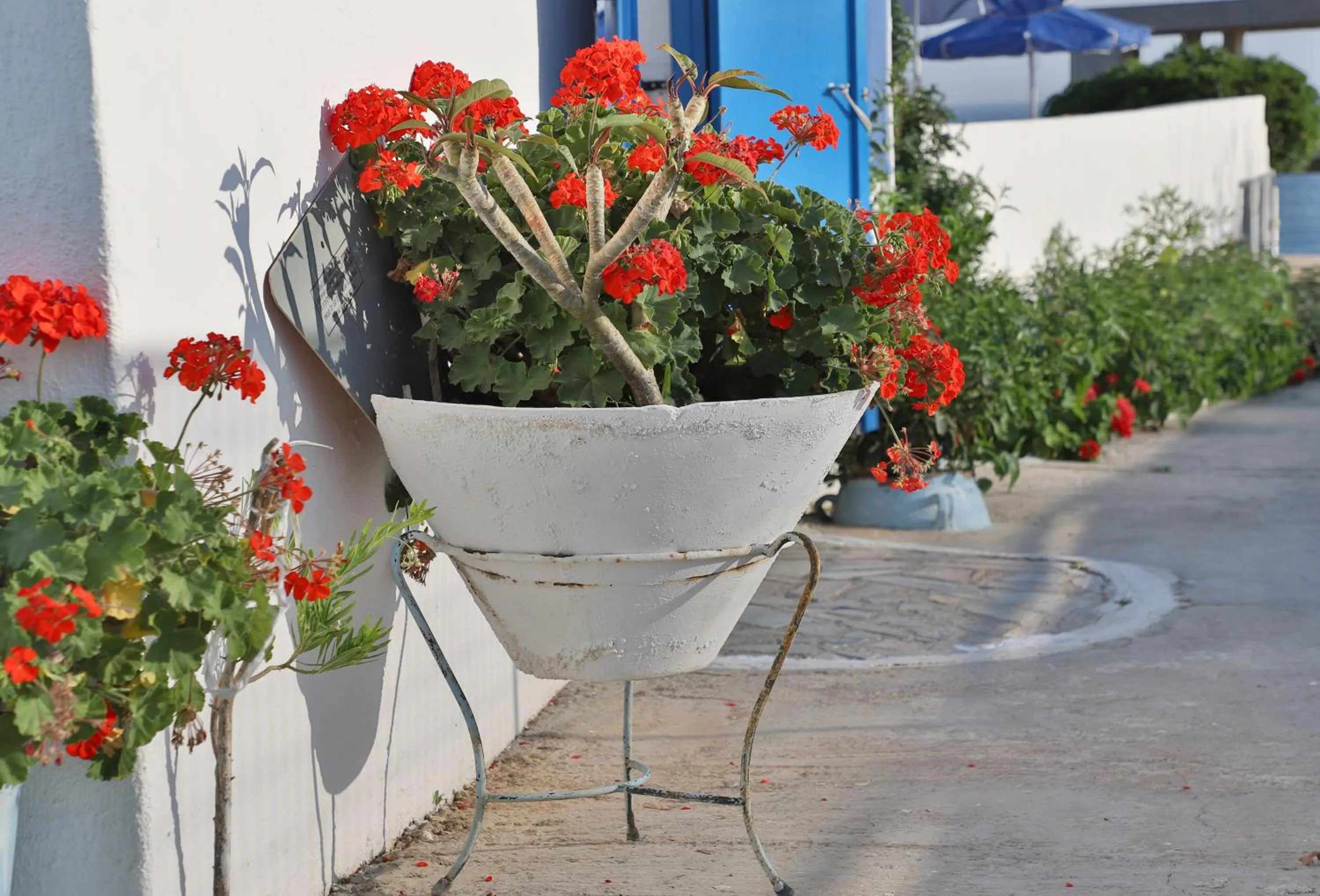 Helios Studios & Apartments