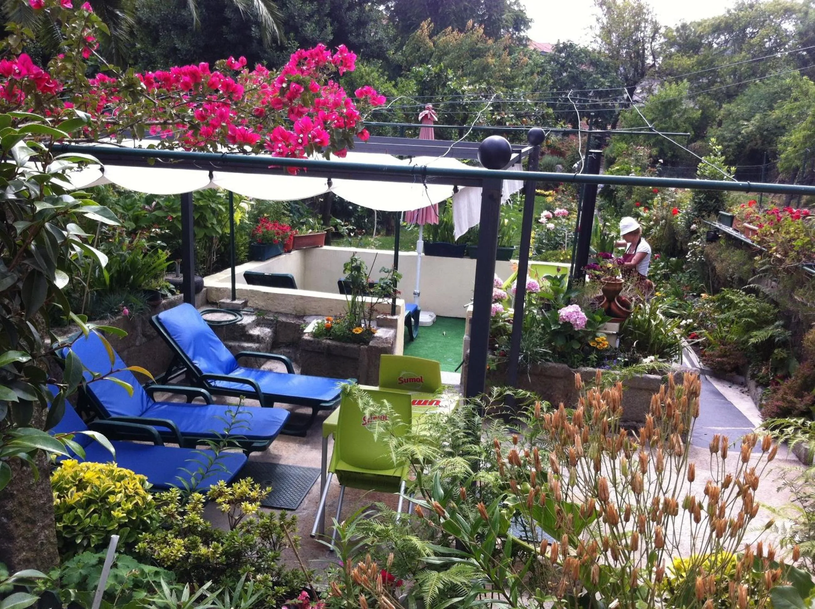 Garden in Hotel Estoril Porto