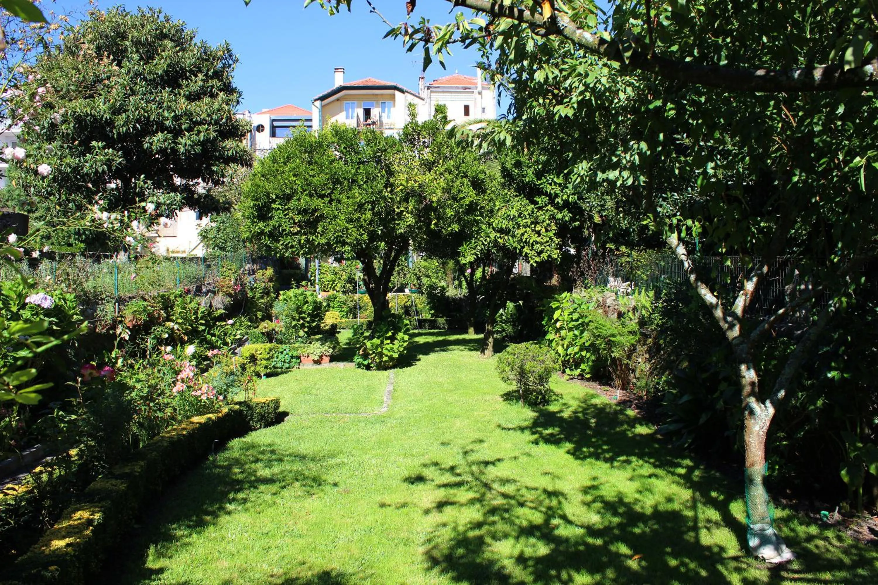 Garden in Hotel Estoril Porto