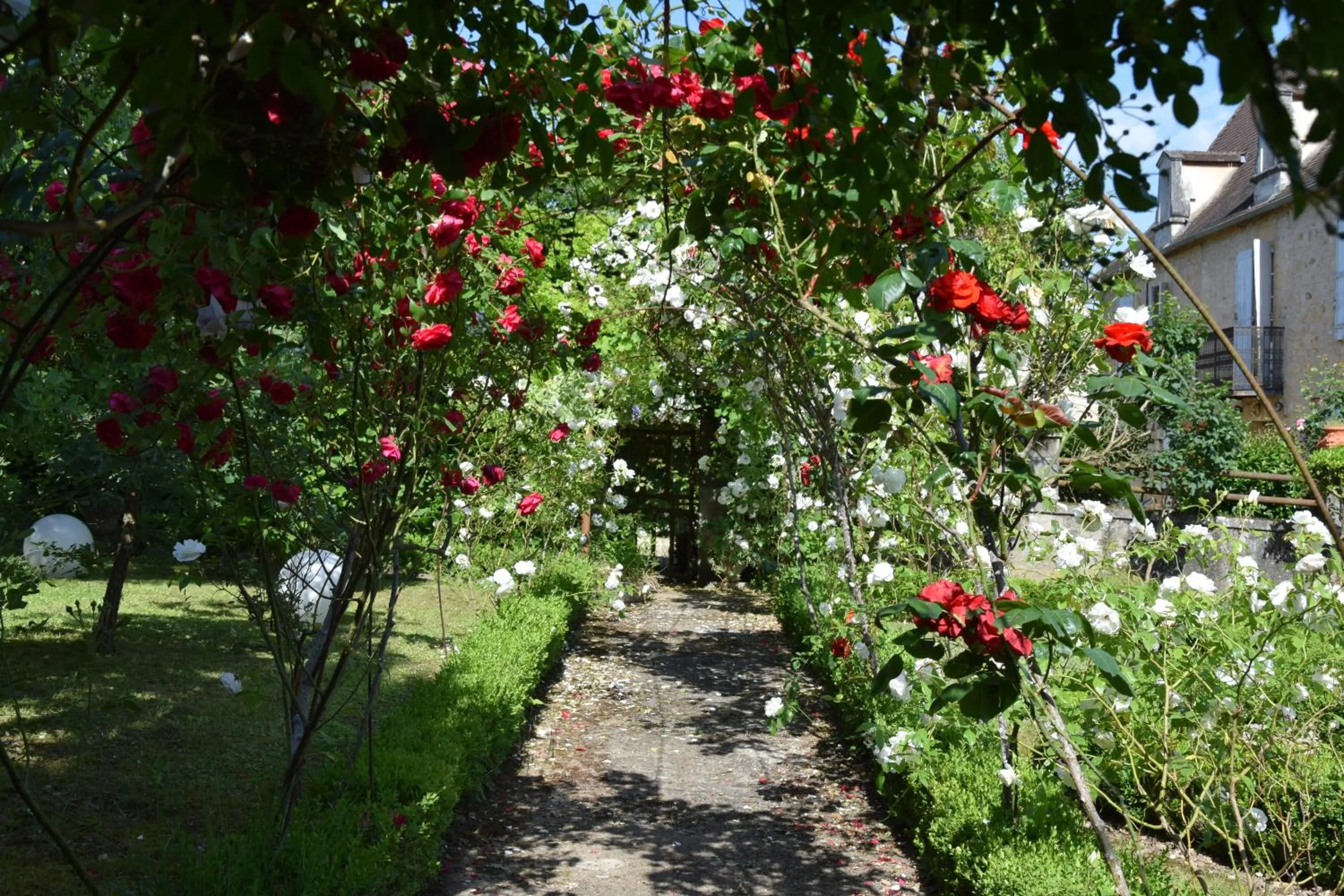 Garden view in L'Intemporelle B&B