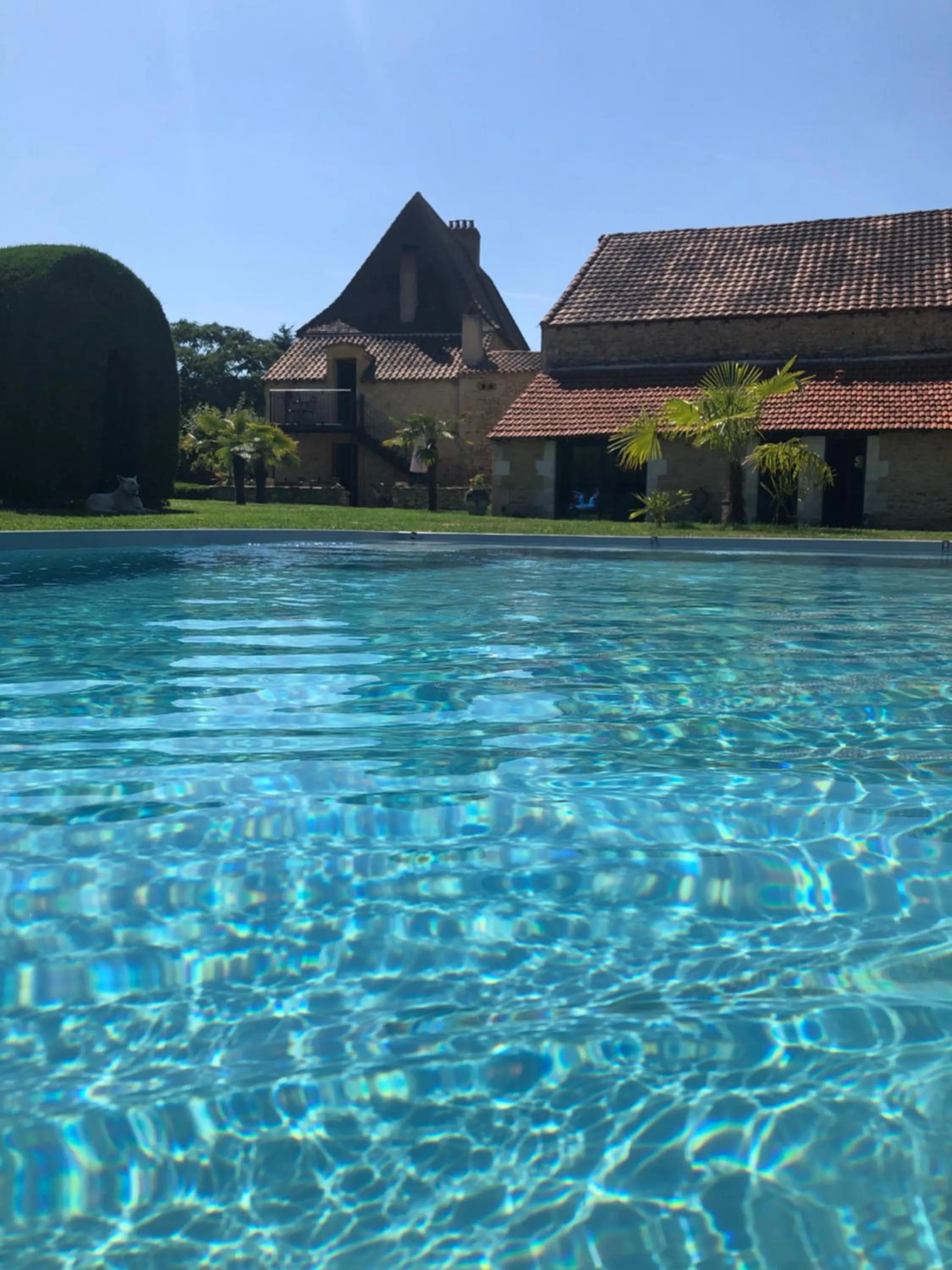 Garden in L'Intemporelle B&B