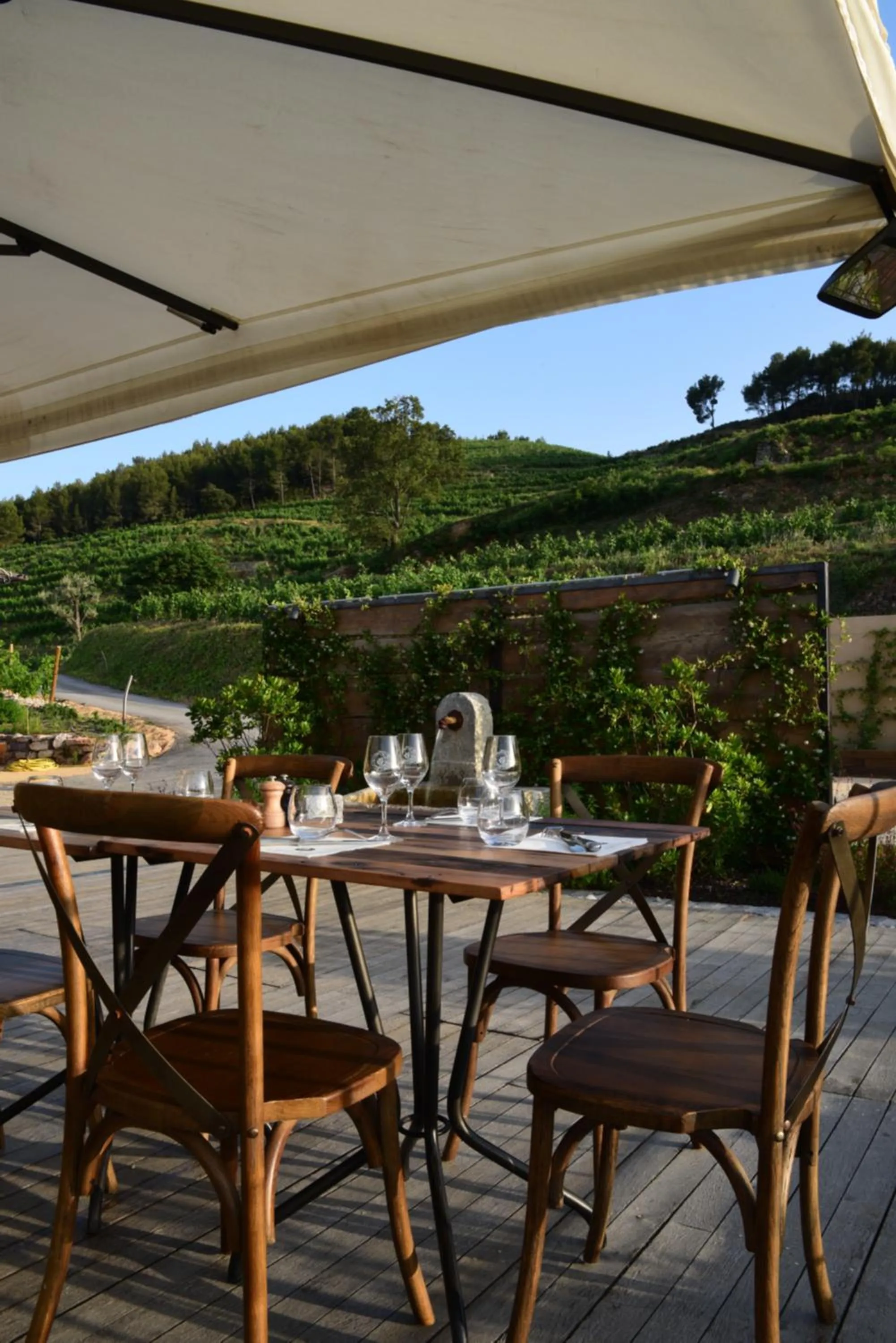 Domaine de La Font des Pères - Teritoria