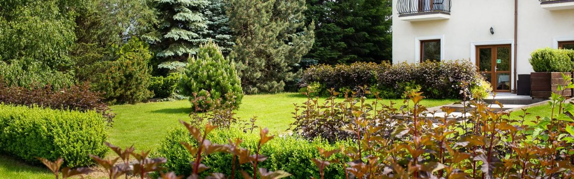 View (from property/room) in Pensjonat Solar